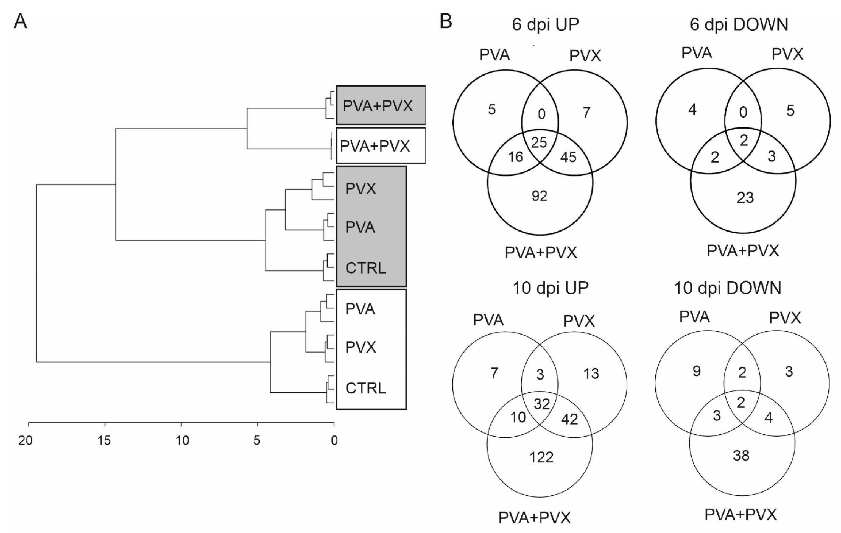 Viruses 15 00121 g004 Viruses 15 00121 g004