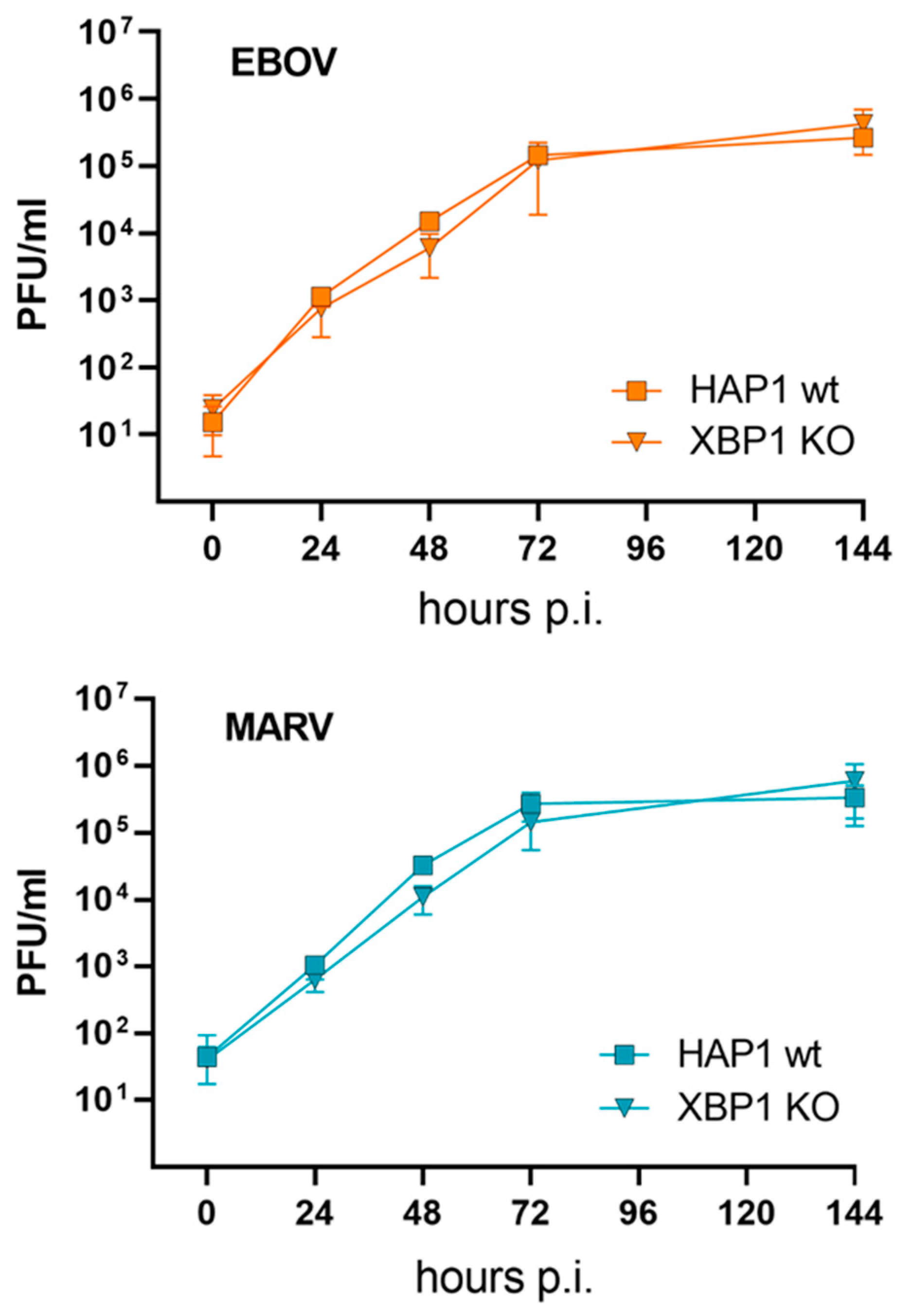 Viruses 15 00122 g006 Viruses 15 00122 g006