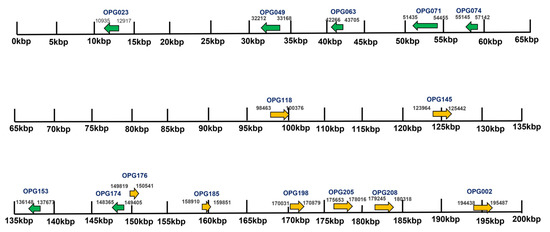 Phylogenomic and Structural Analysis of the Monkeypox Virus Shows ...