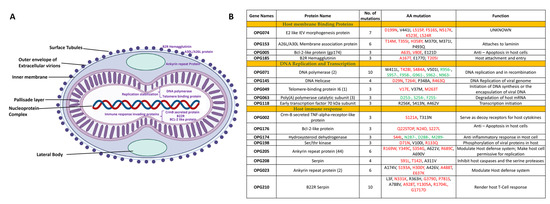Phylogenomic and Structural Analysis of the Monkeypox Virus Shows ...