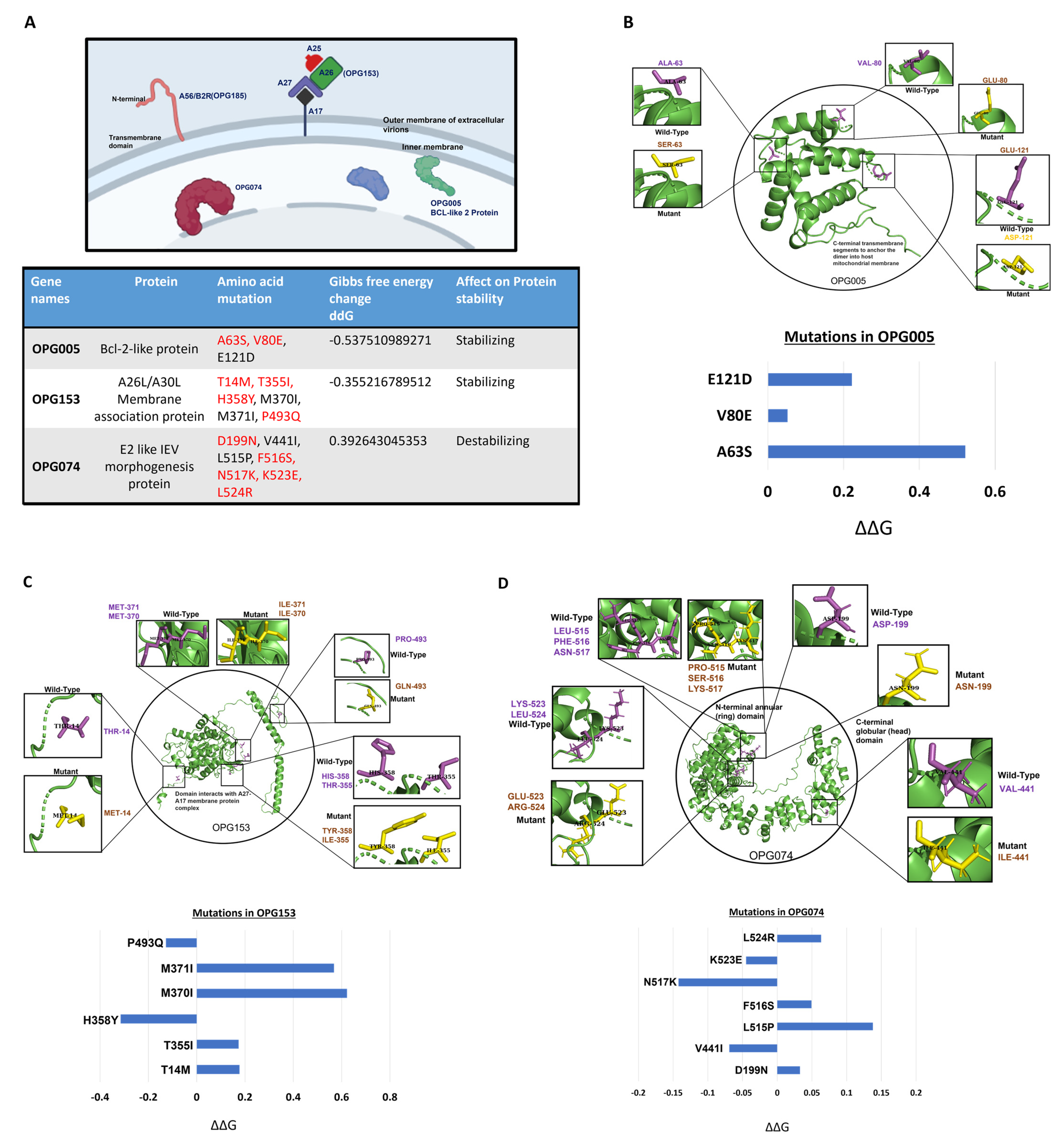 Viruses 15 00127 g004