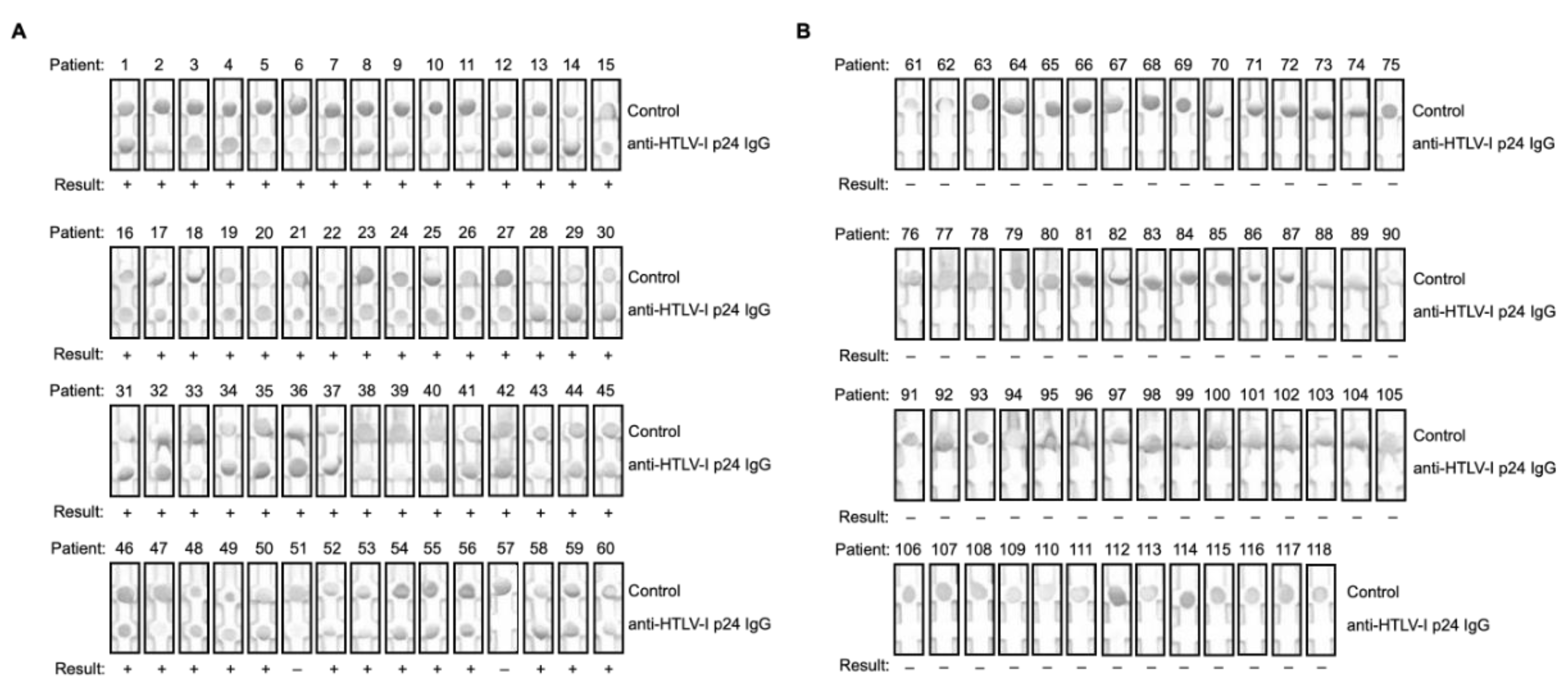 Viruses 15 00129 g001