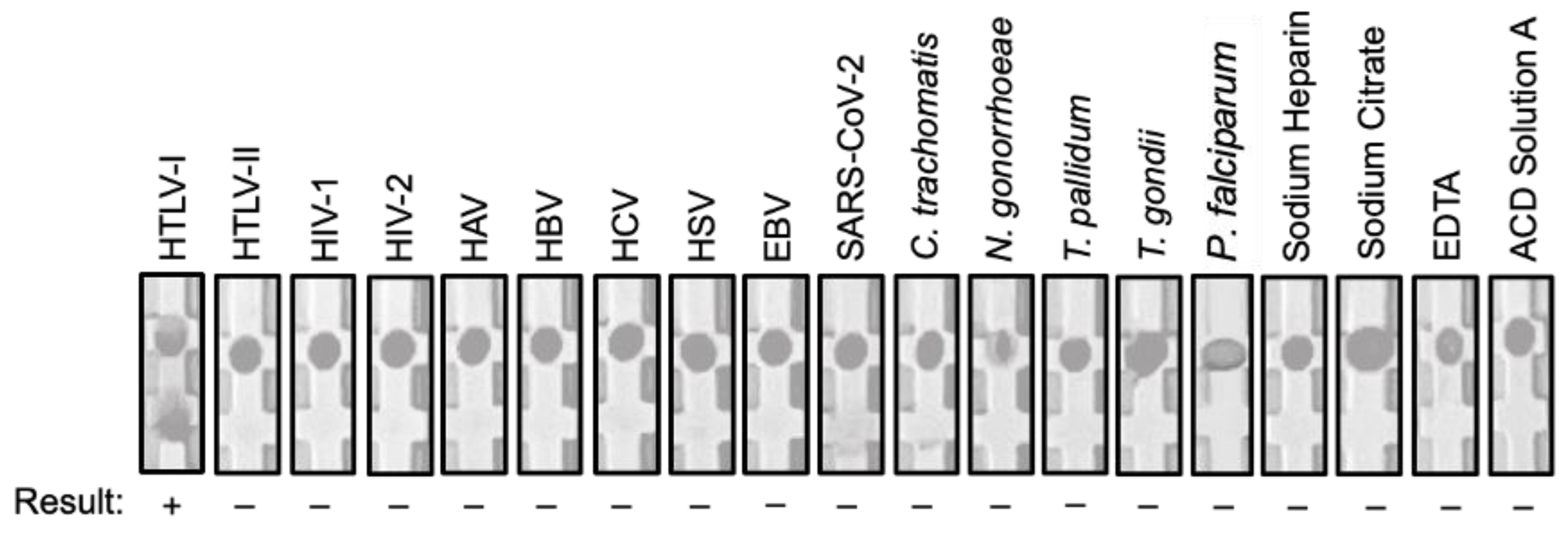 Viruses 15 00129 g003
