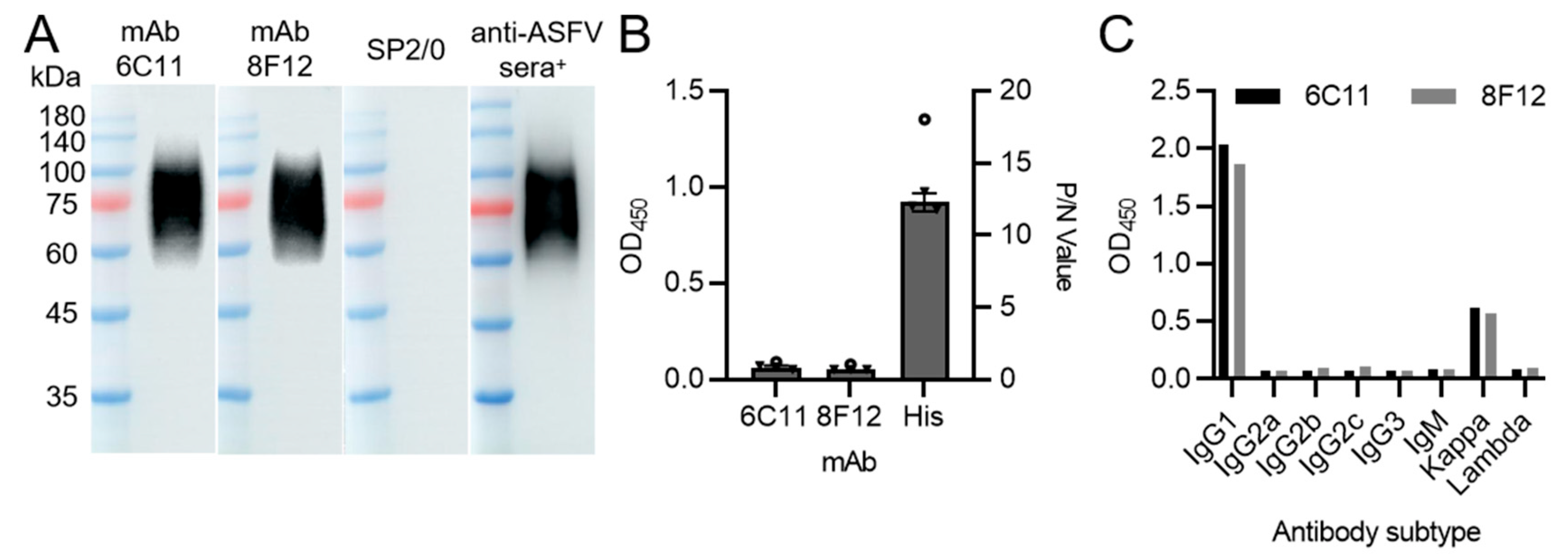 Viruses 15 00131 g001