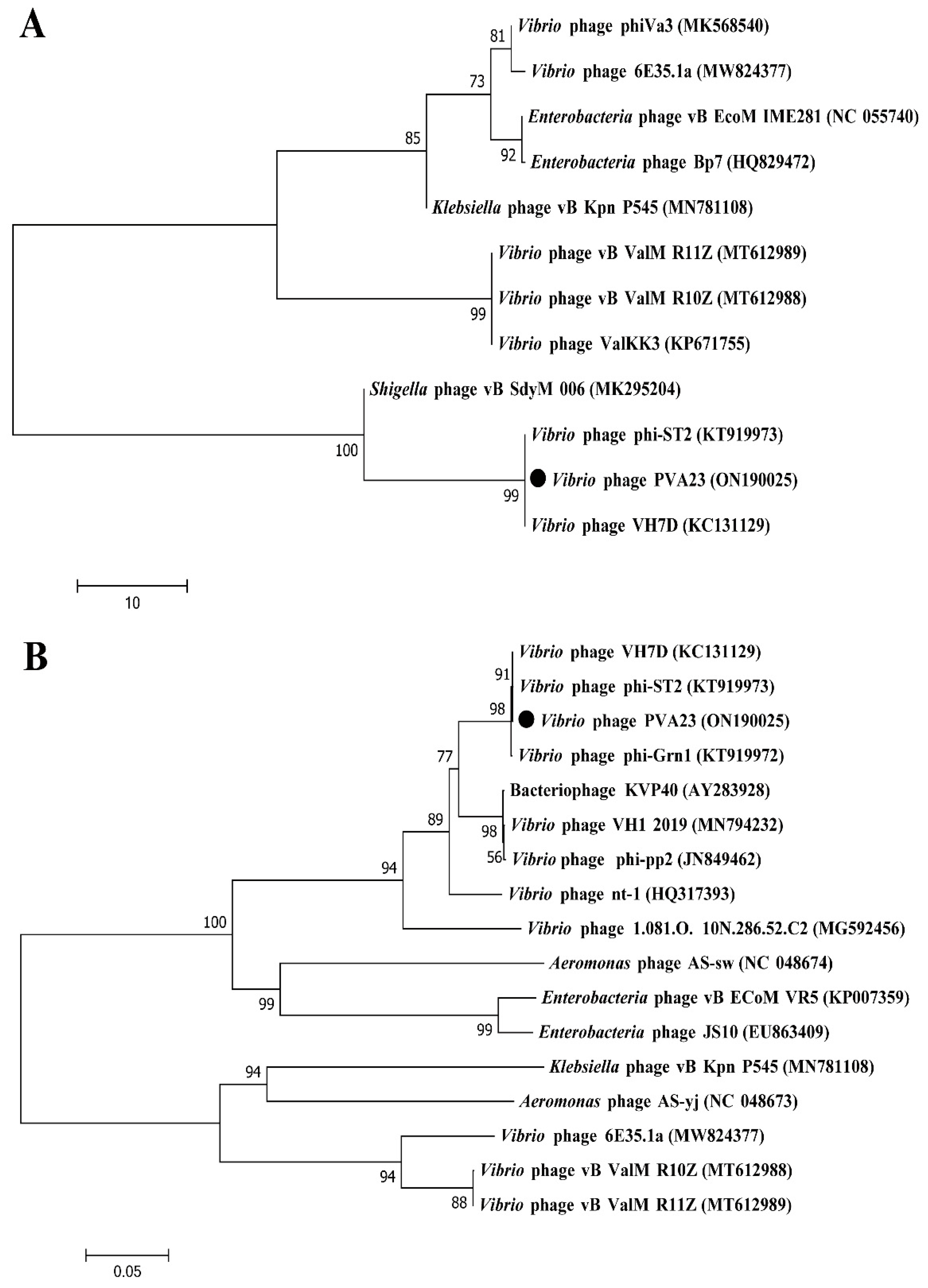 Viruses 15 00135 g008 Viruses 15 00135 g008