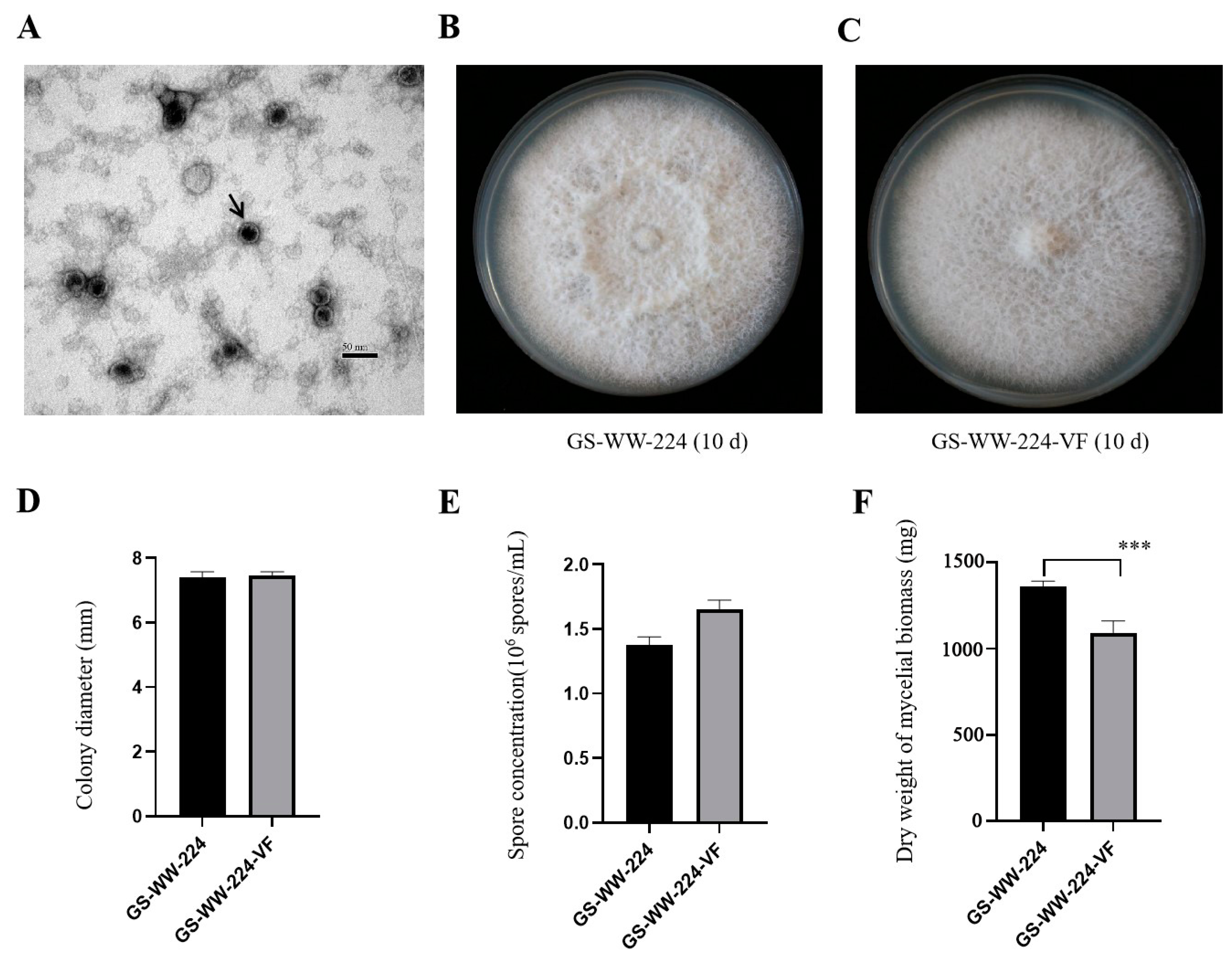 Viruses 15 00145 g003