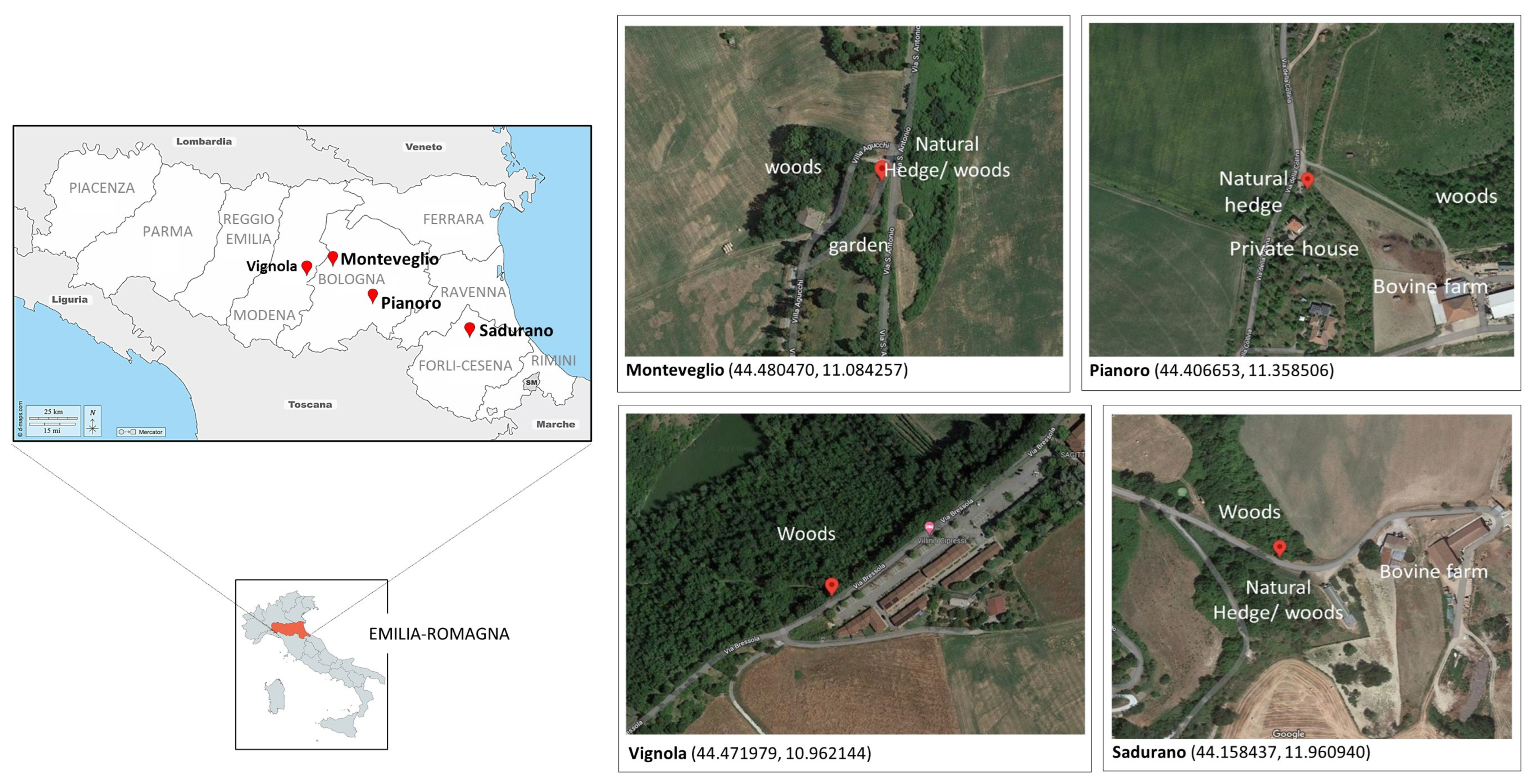 Viruses 15 00148 g001