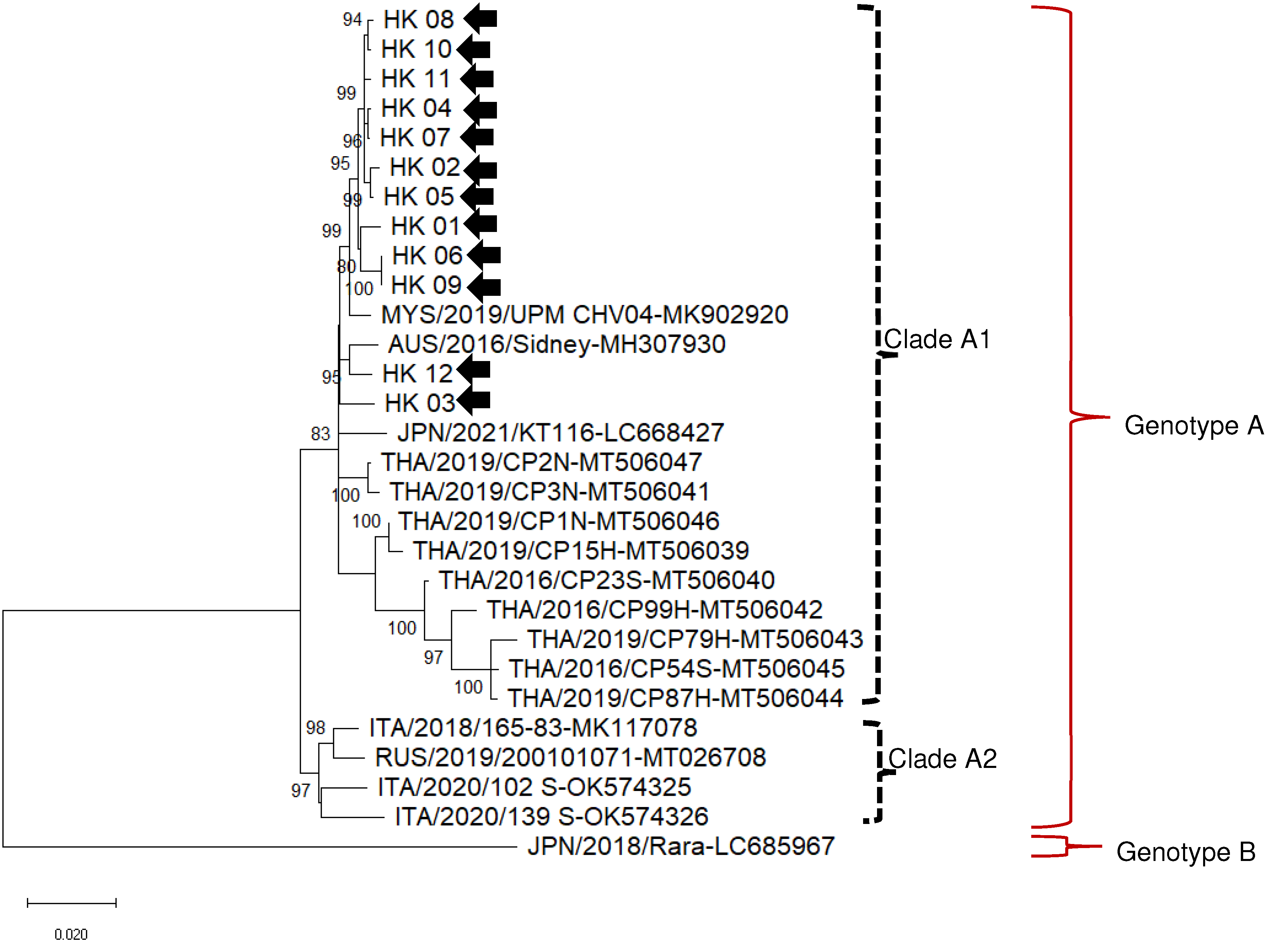 Viruses 15 00150 g001