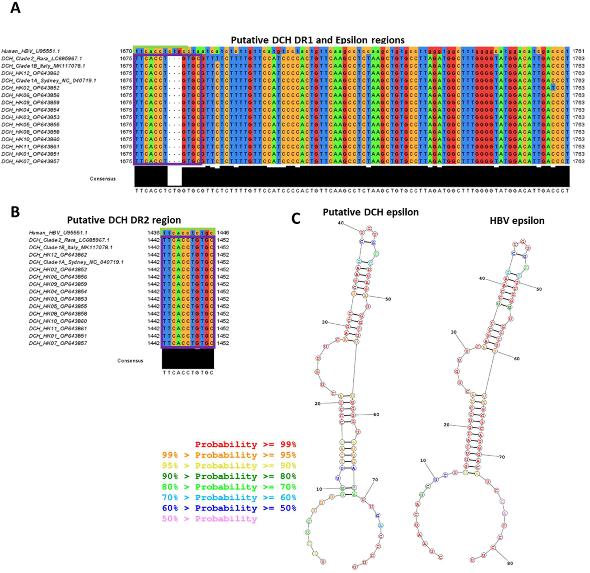 Viruses 15 00150 g002
