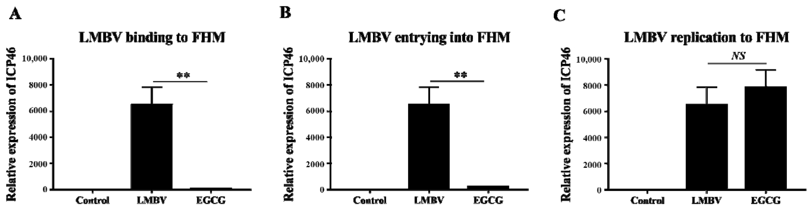 Viruses 15 00151 g004 Viruses 15 00151 g004