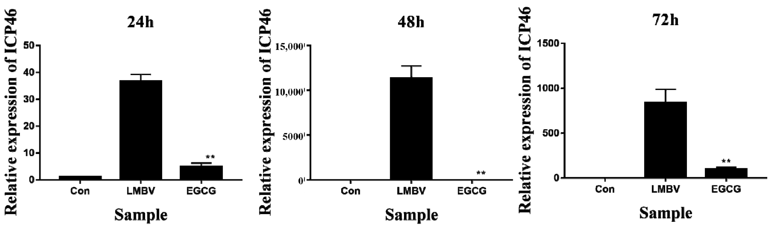 Viruses 15 00151 g007 Viruses 15 00151 g007