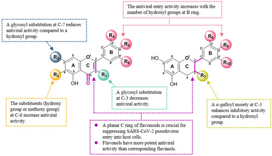 Anti-Entry Activity of Natural Flavonoids against SARS-CoV-2 by ...