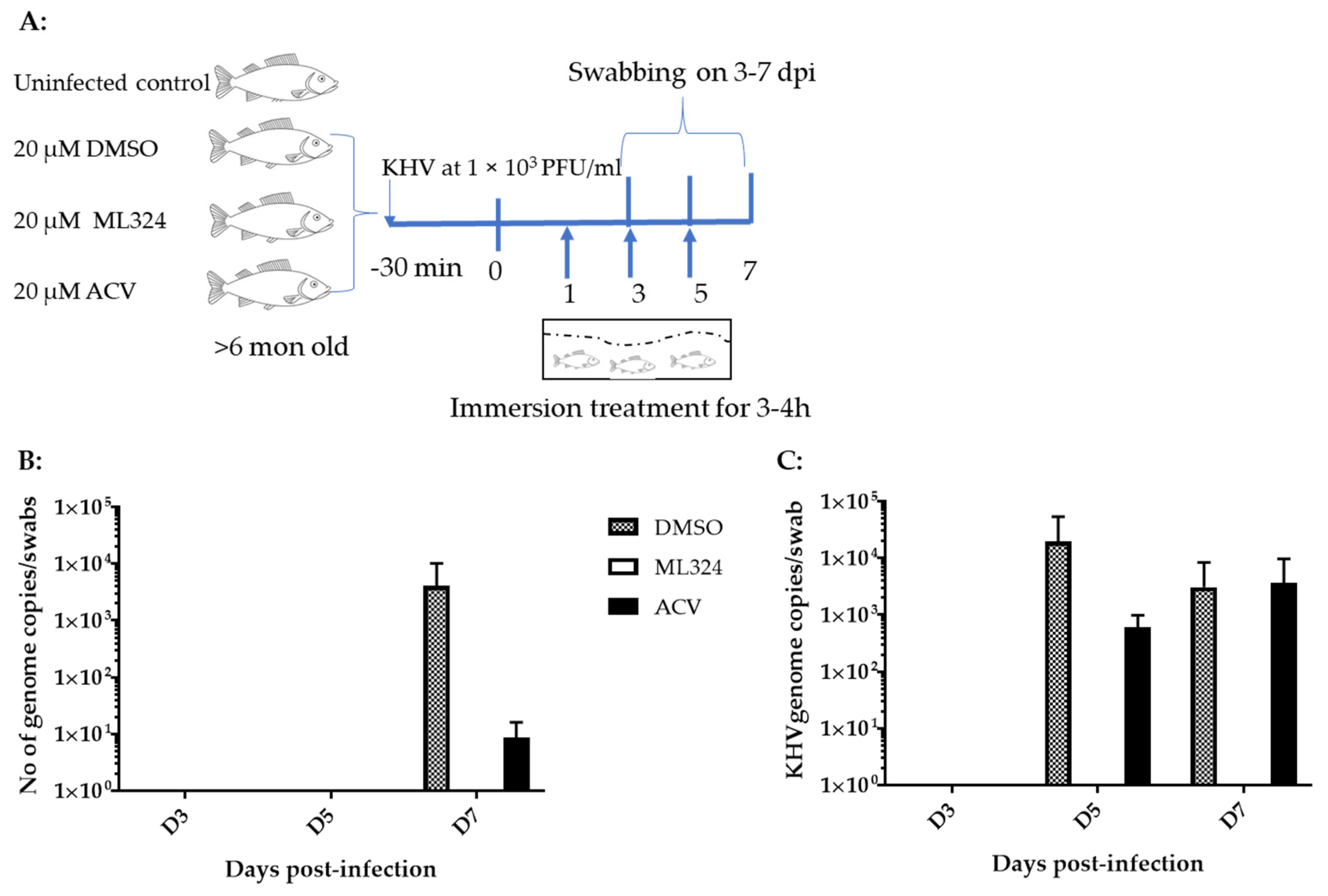 Viruses 15 00163 g004 Viruses 15 00163 g004