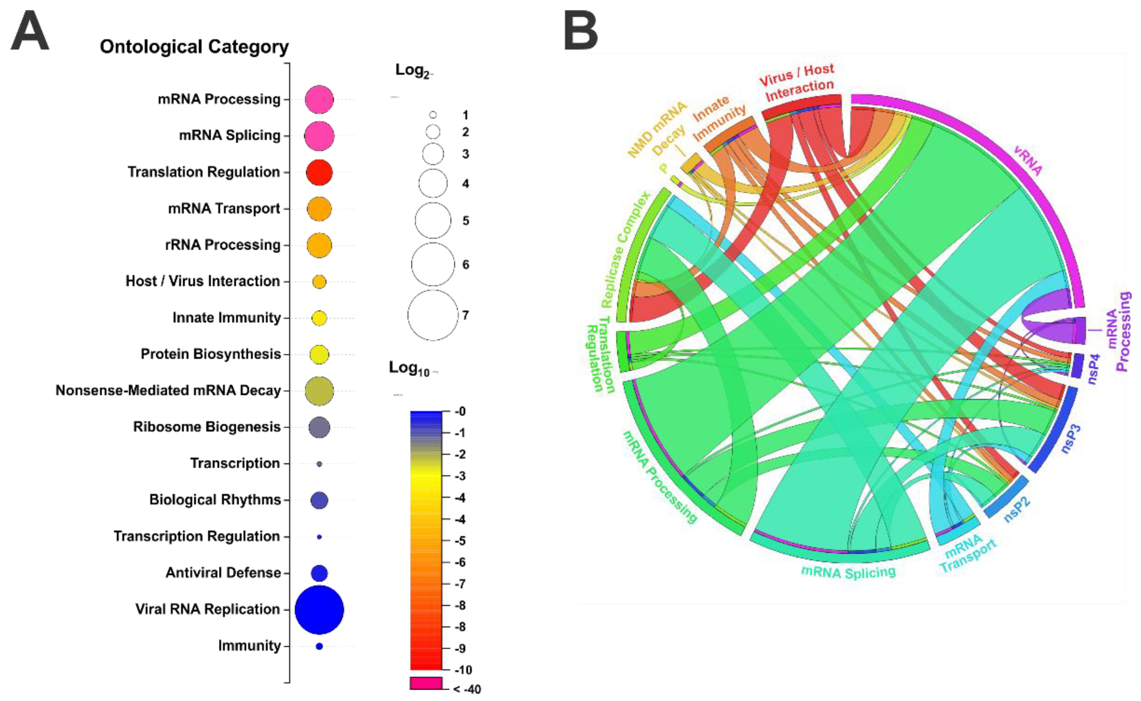 Viruses 15 00164 g003 Viruses 15 00164 g003