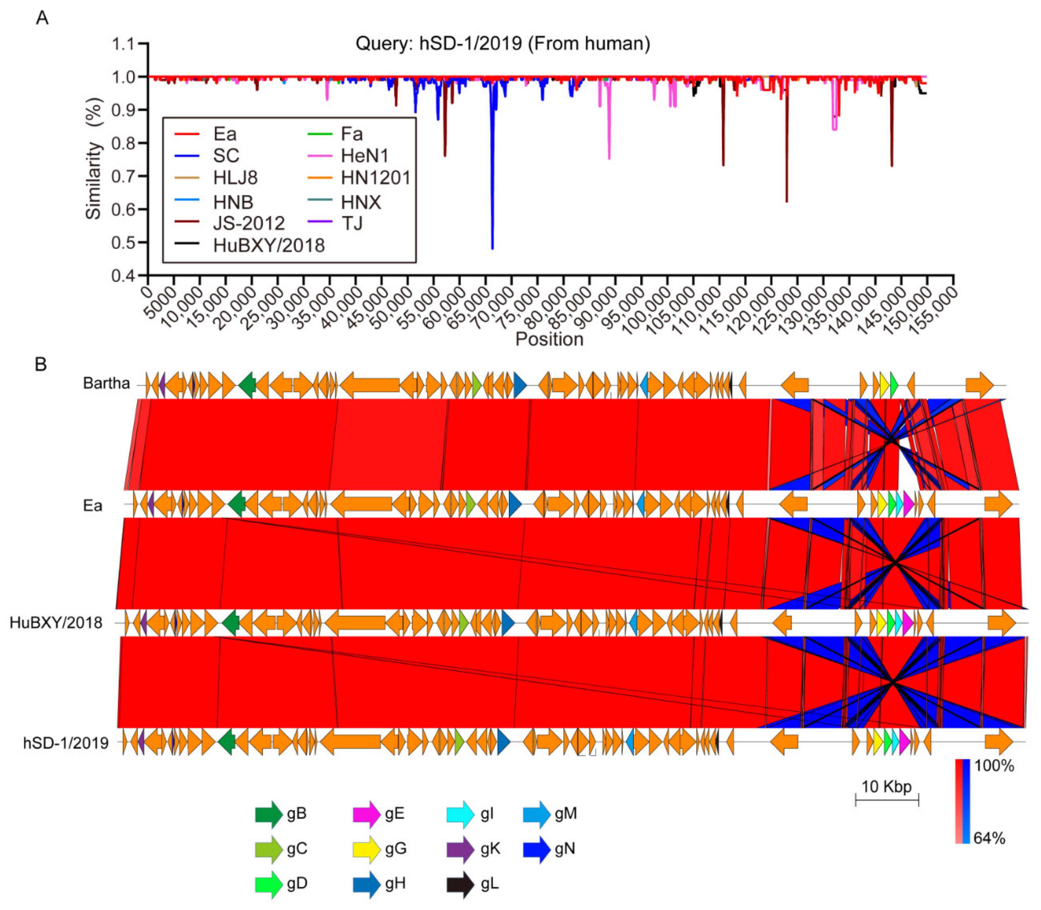 Viruses 15 00170 g001