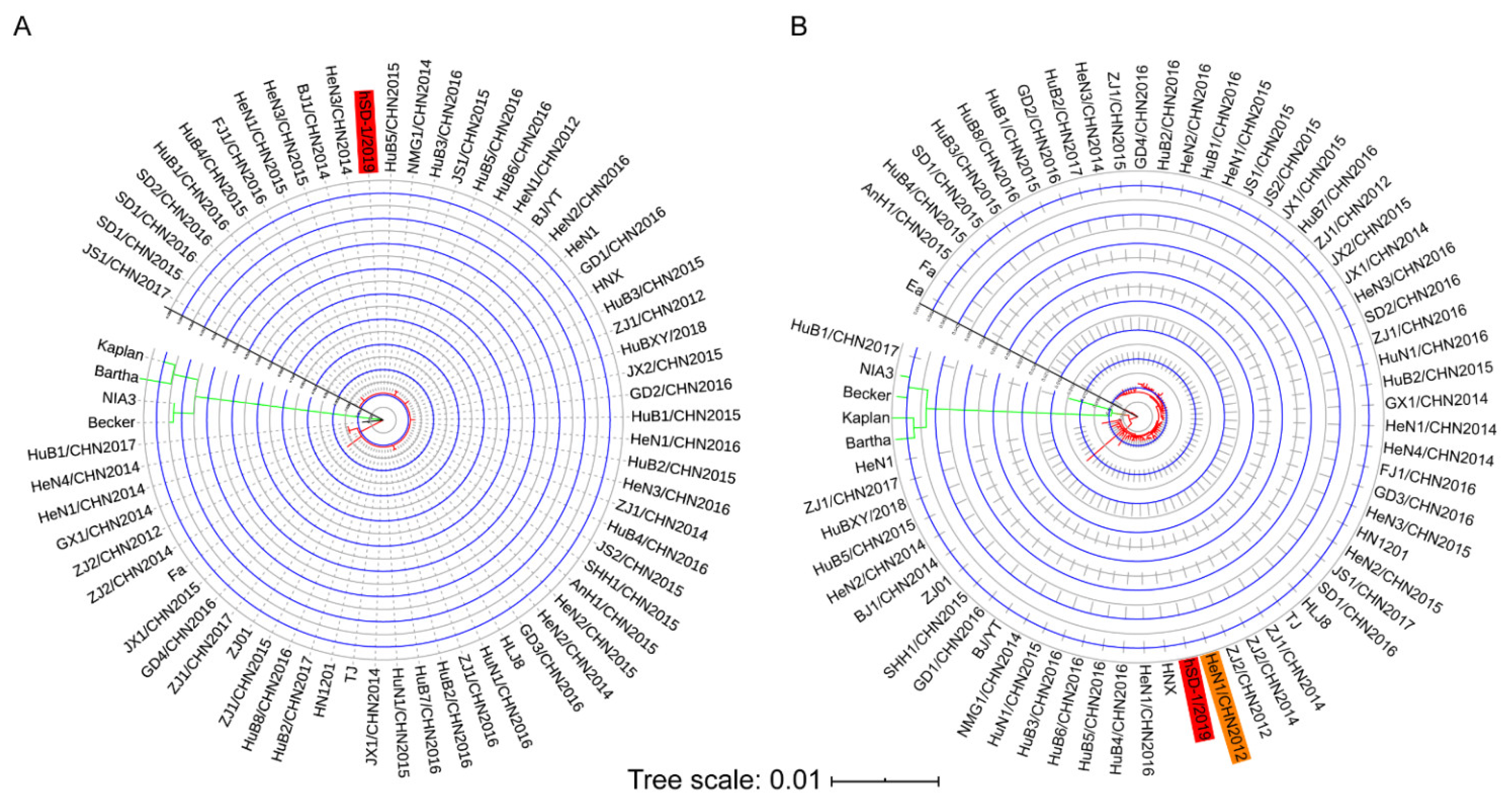 Viruses 15 00170 g002
