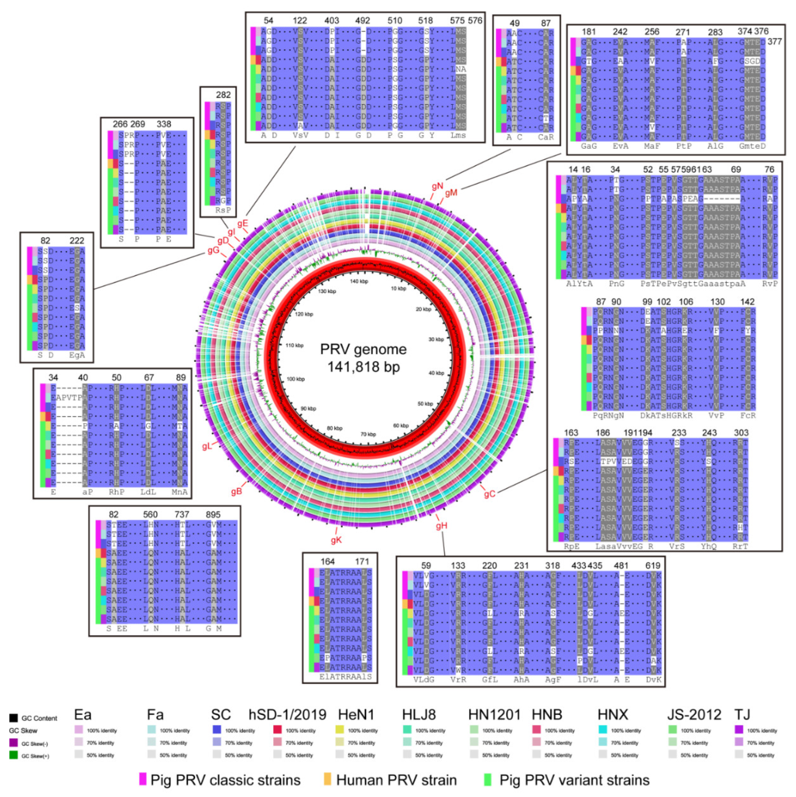 Viruses 15 00170 g003