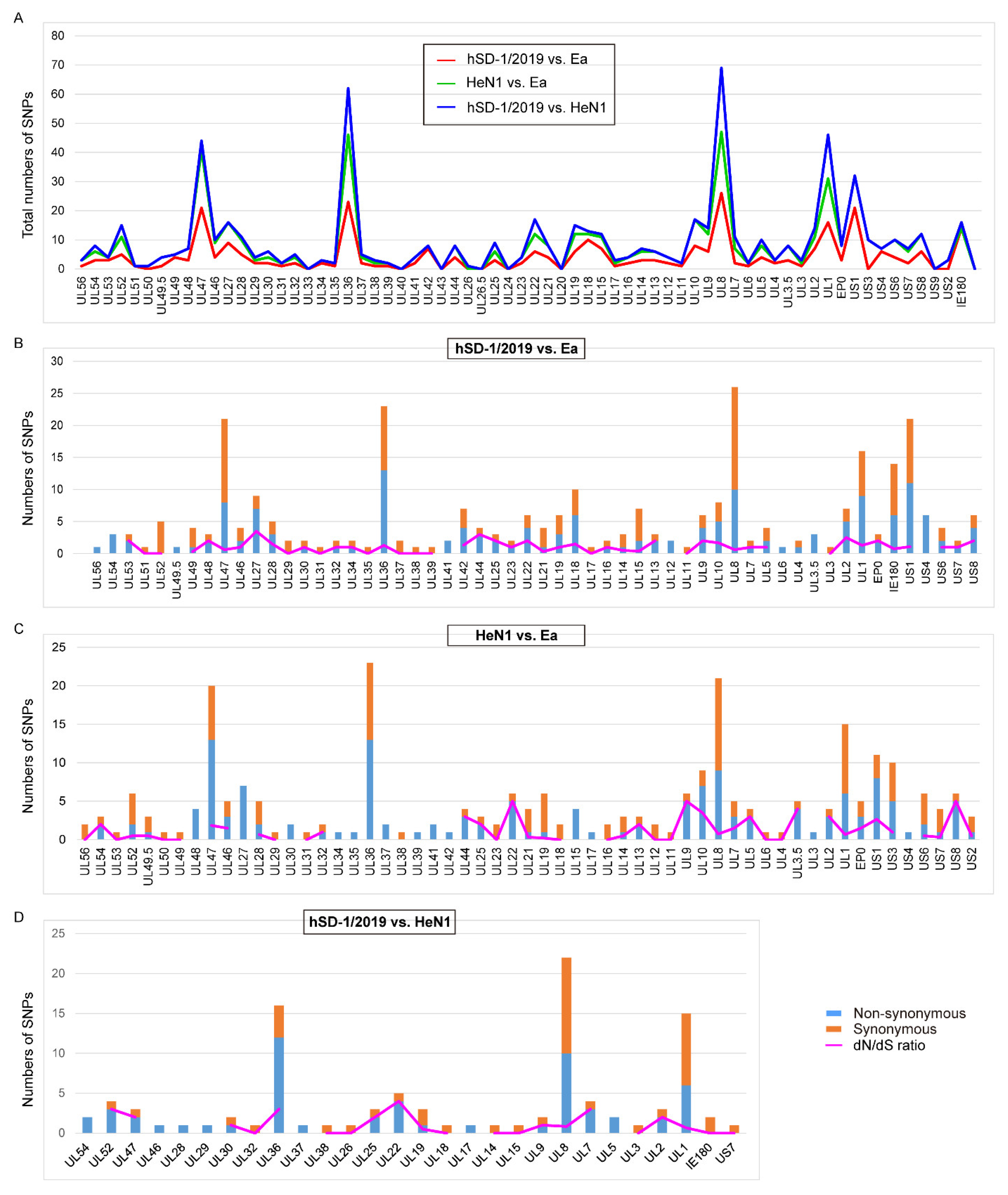 Viruses 15 00170 g004