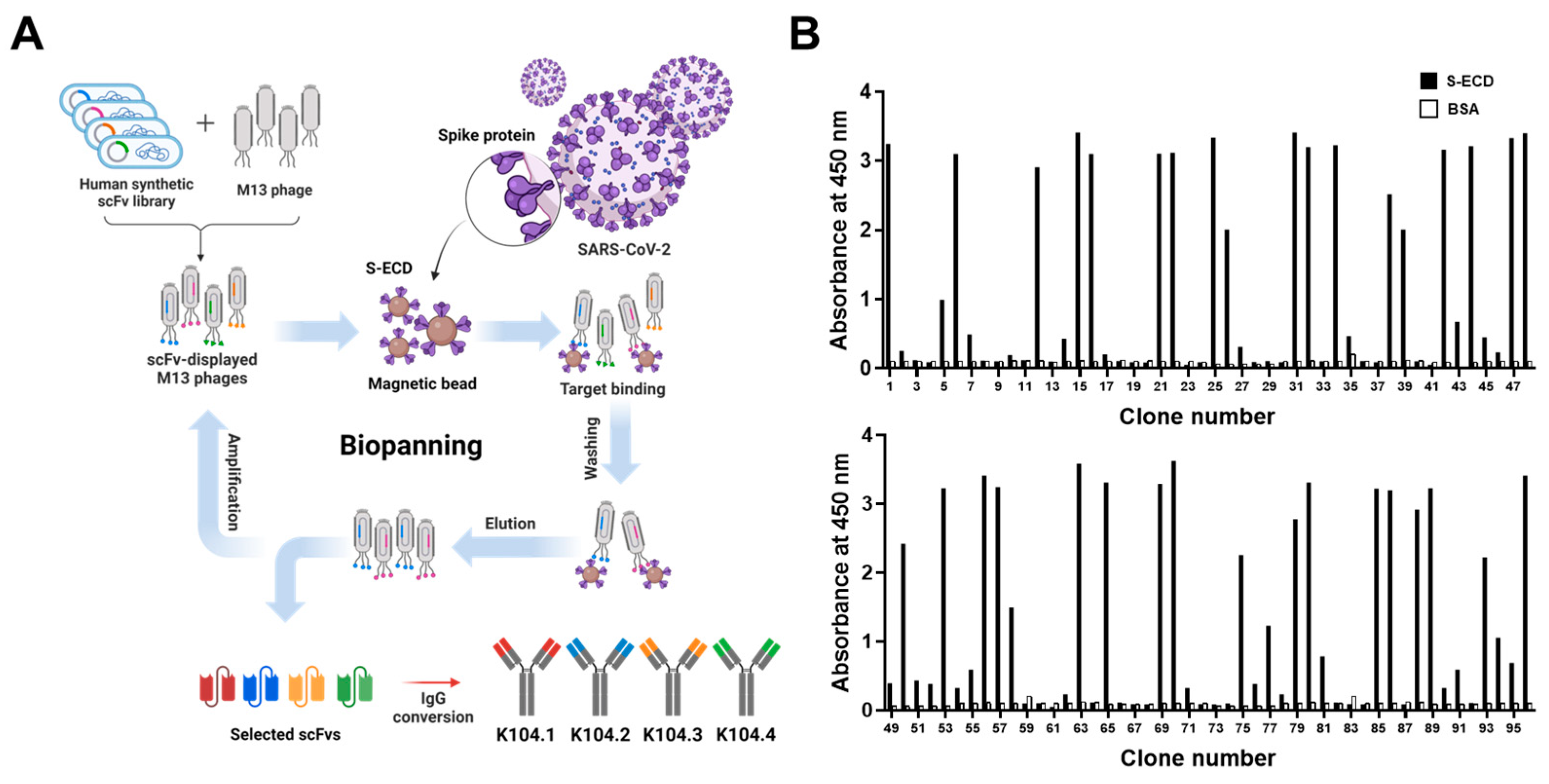 Viruses 15 00174 g001 Viruses 15 00174 g001