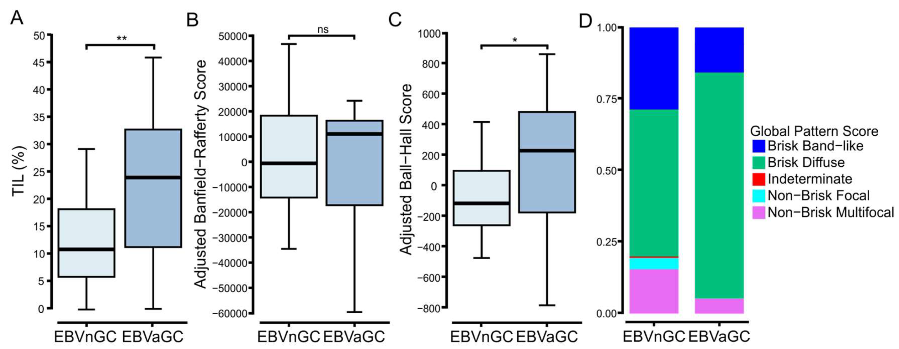 Viruses 15 00176 g002 Viruses 15 00176 g002