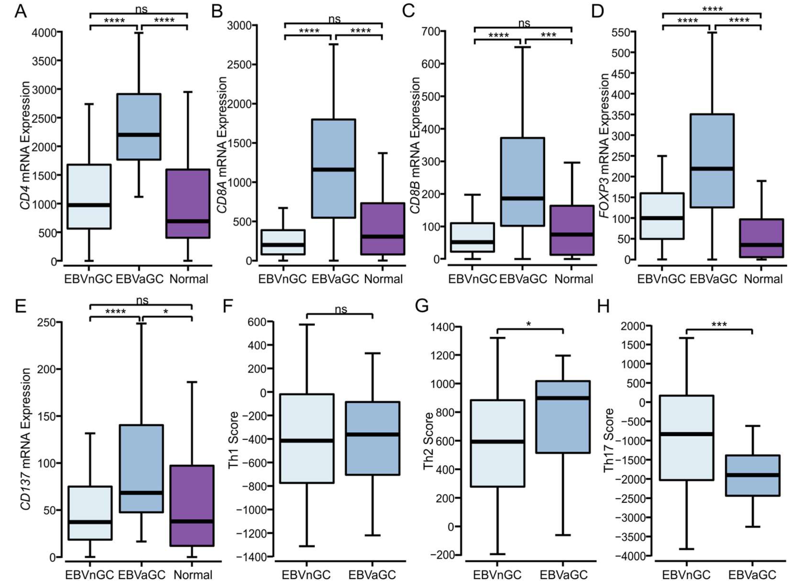 Viruses 15 00176 g003 Viruses 15 00176 g003
