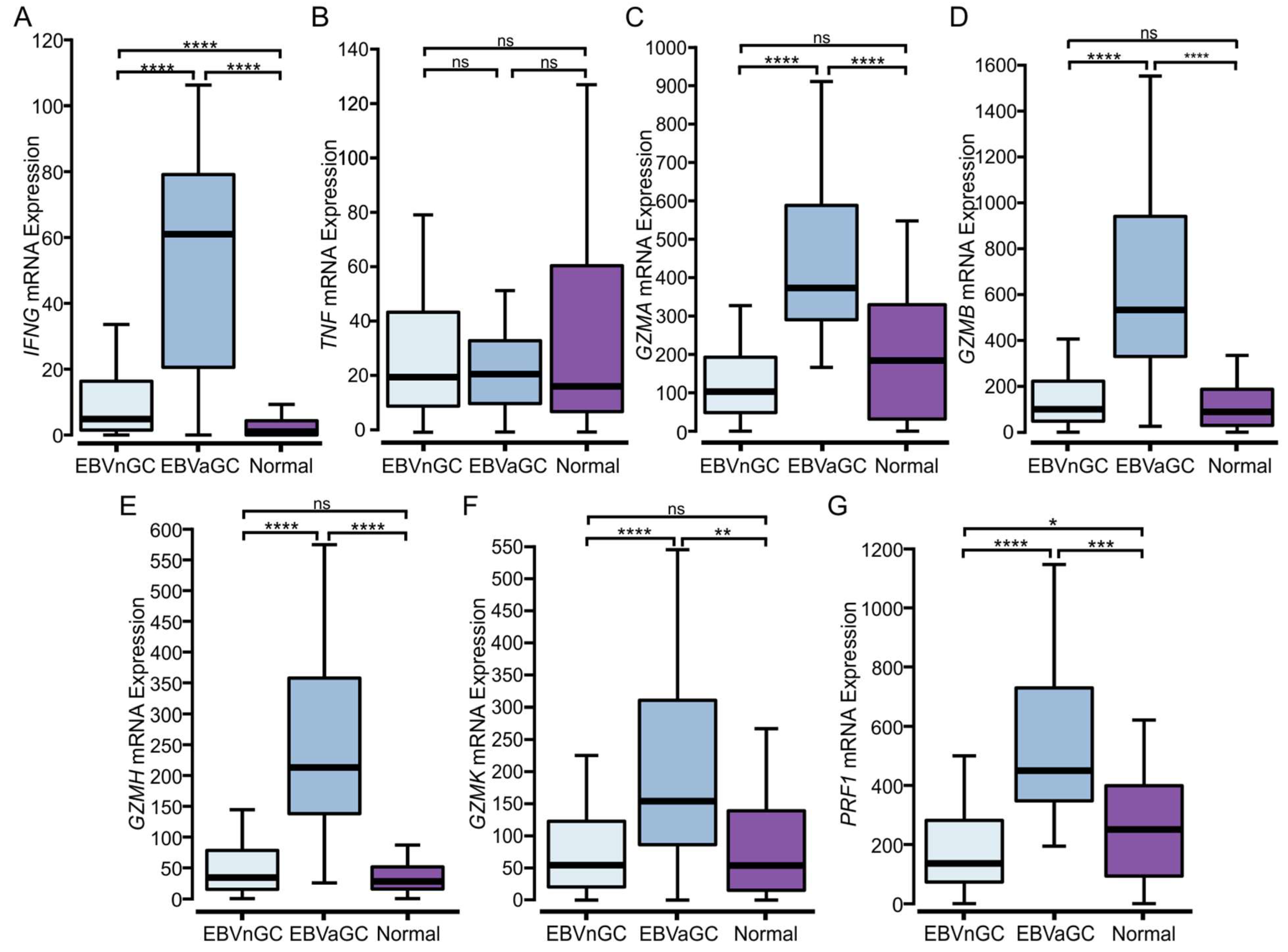 Viruses 15 00176 g004 Viruses 15 00176 g004