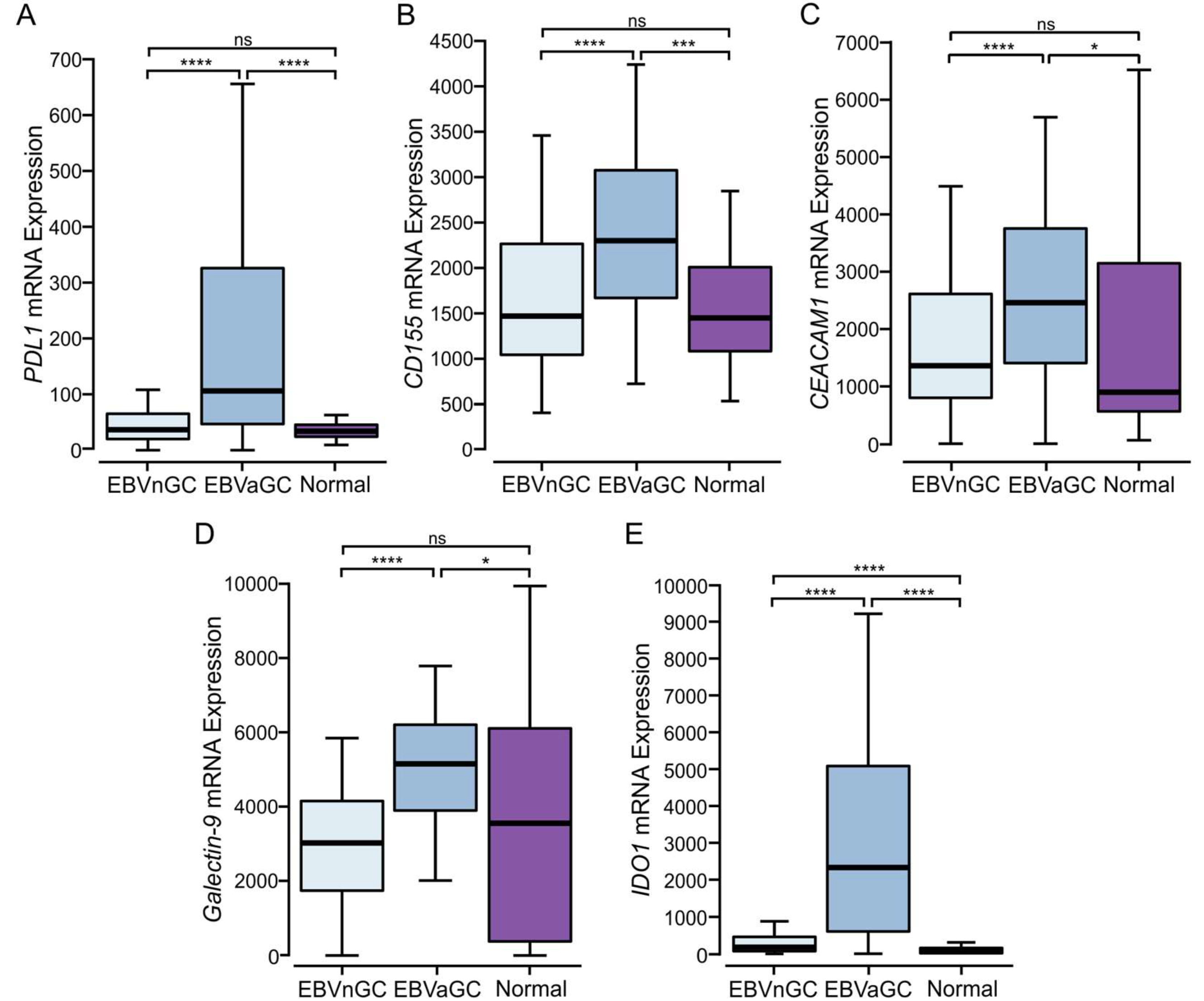 Viruses 15 00176 g005 Viruses 15 00176 g005