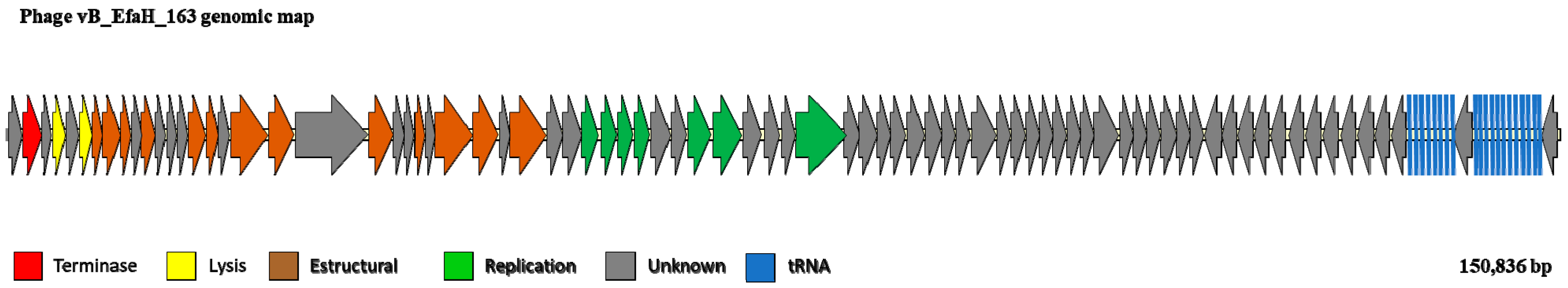 Viruses 15 00179 g003