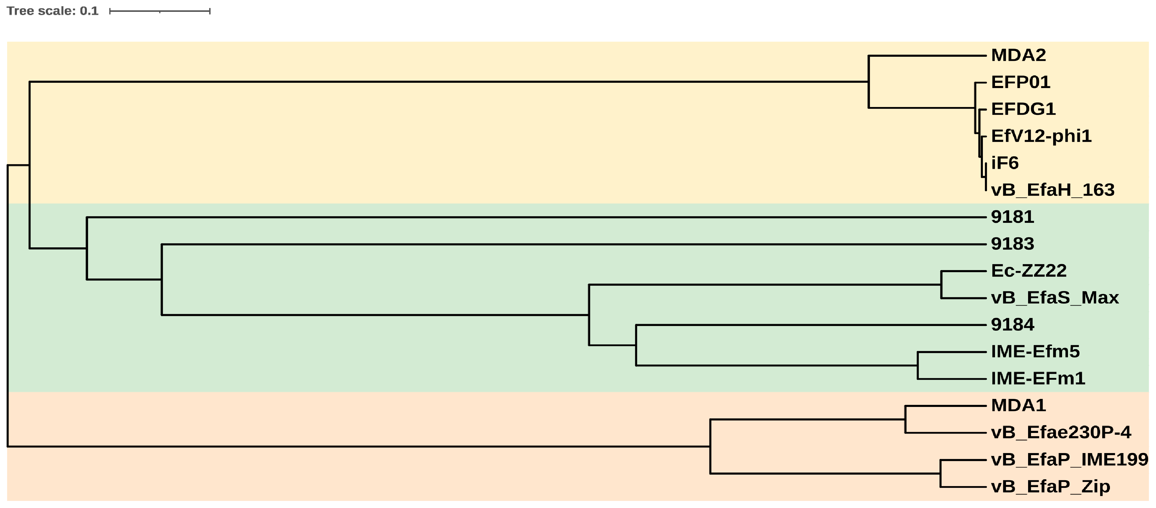 Viruses 15 00179 g004