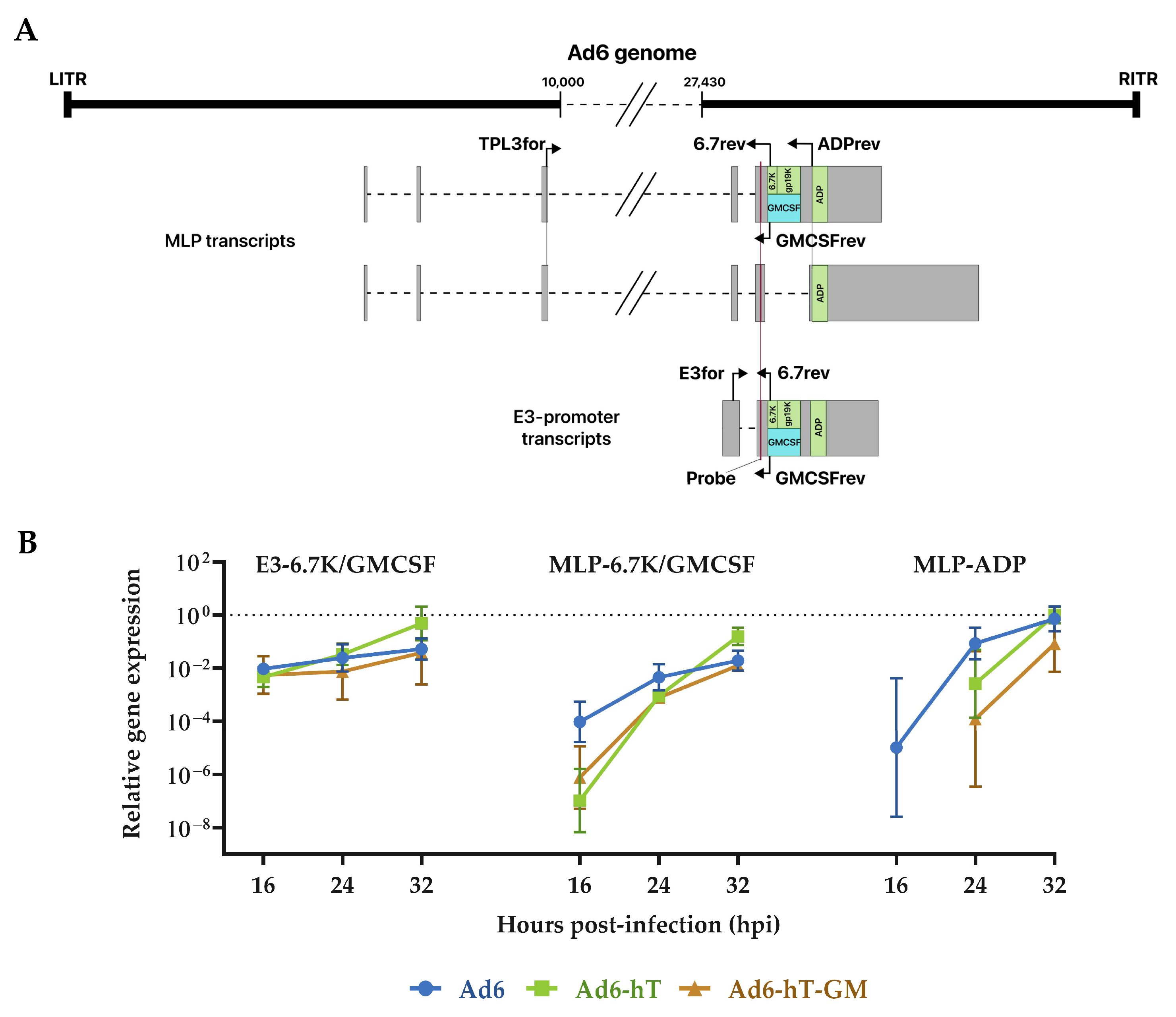Viruses 15 00182 g004