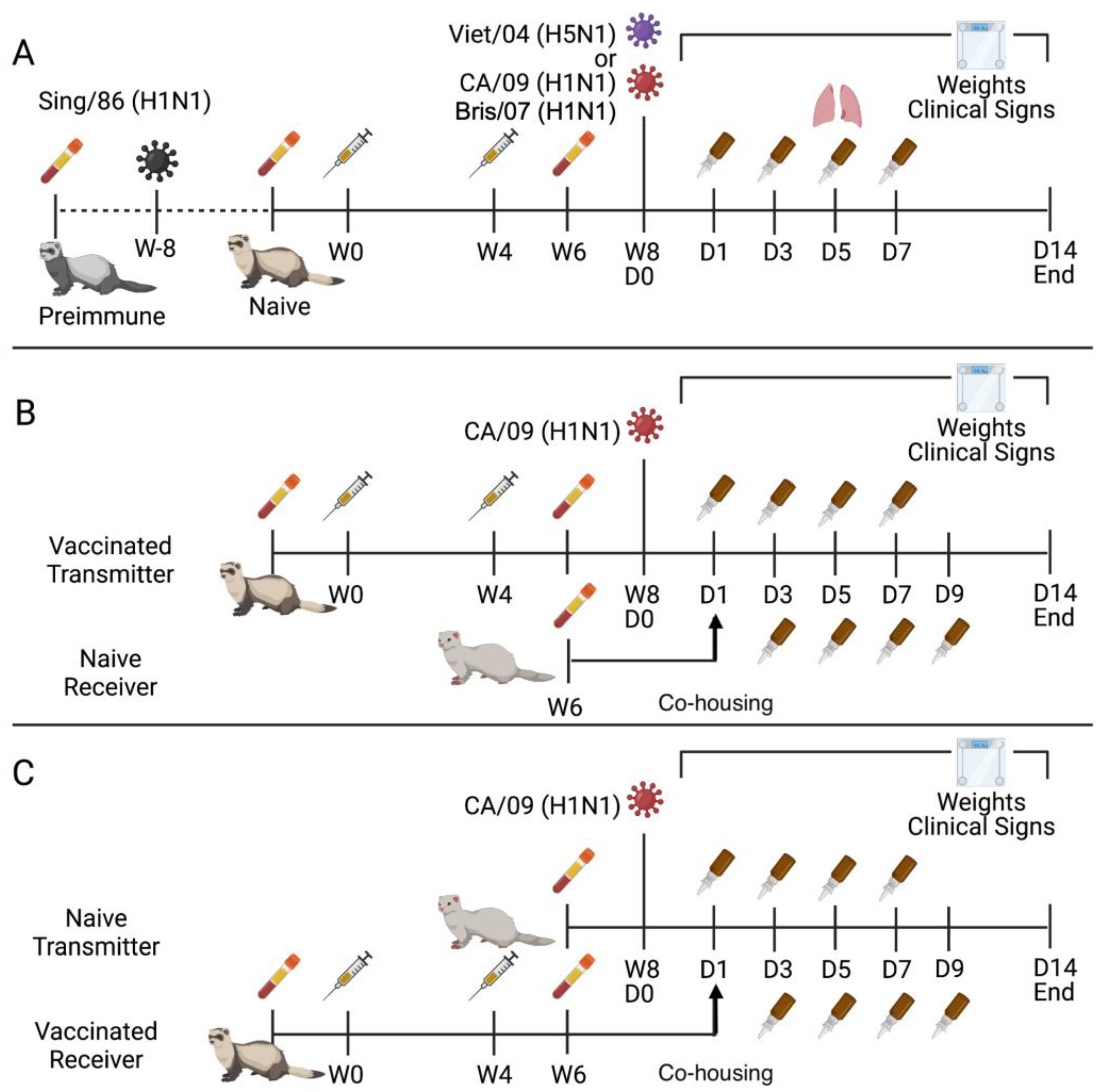 Viruses 15 00184 g001