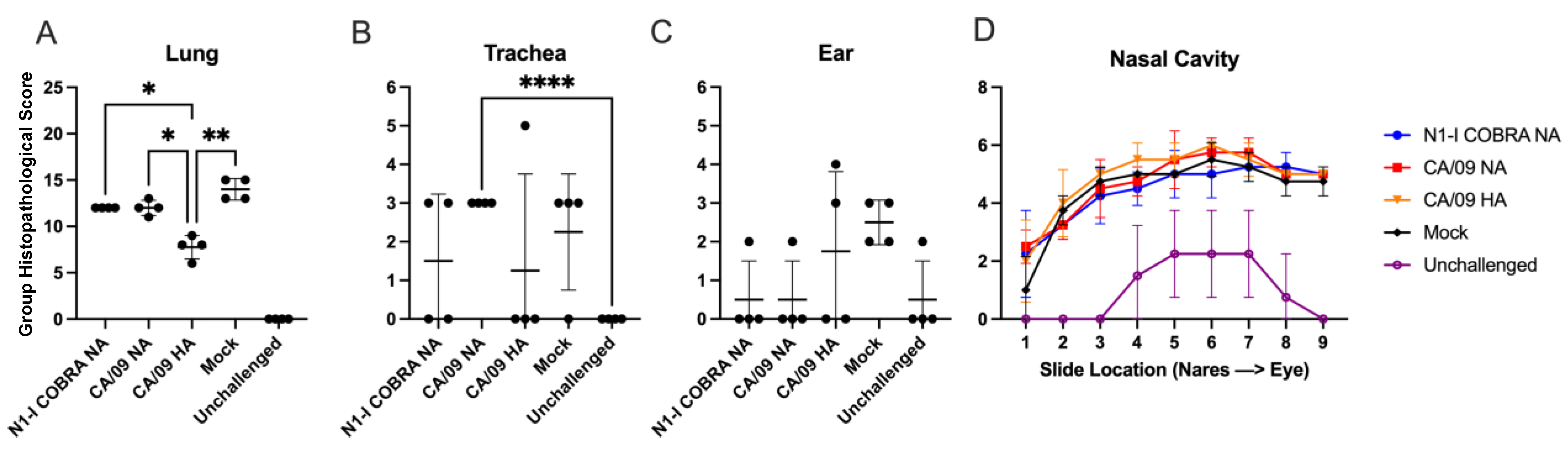 Viruses 15 00184 g003