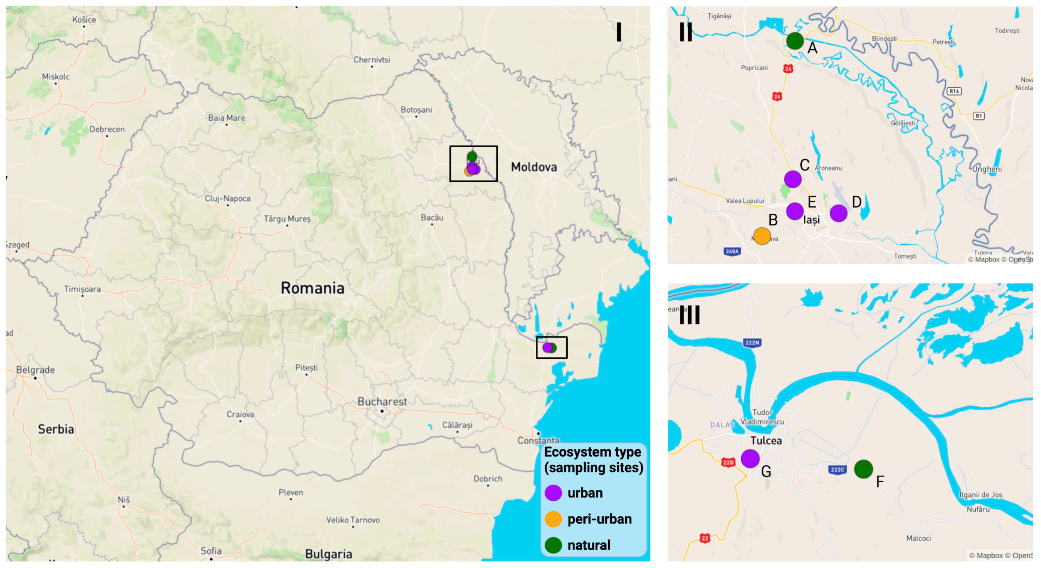Viruses 15 00186 g001 Viruses 15 00186 g001