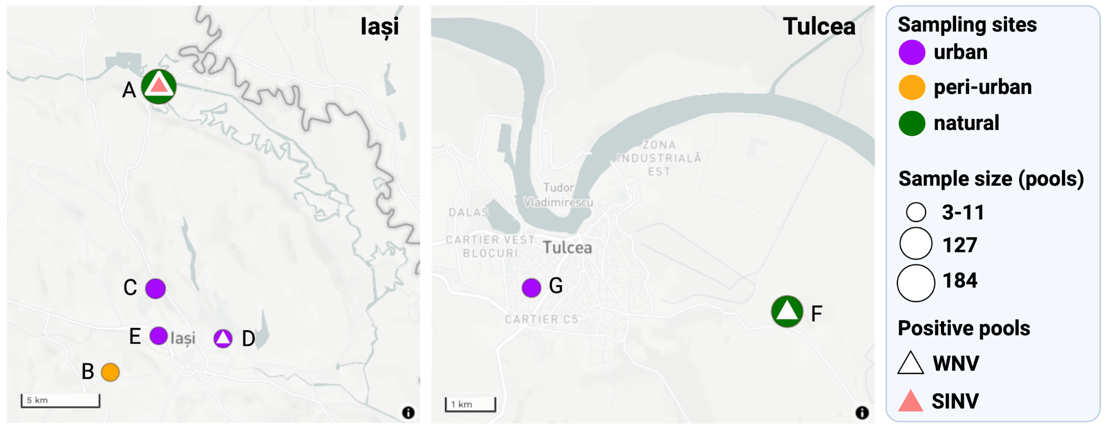Viruses 15 00186 g003 Viruses 15 00186 g003