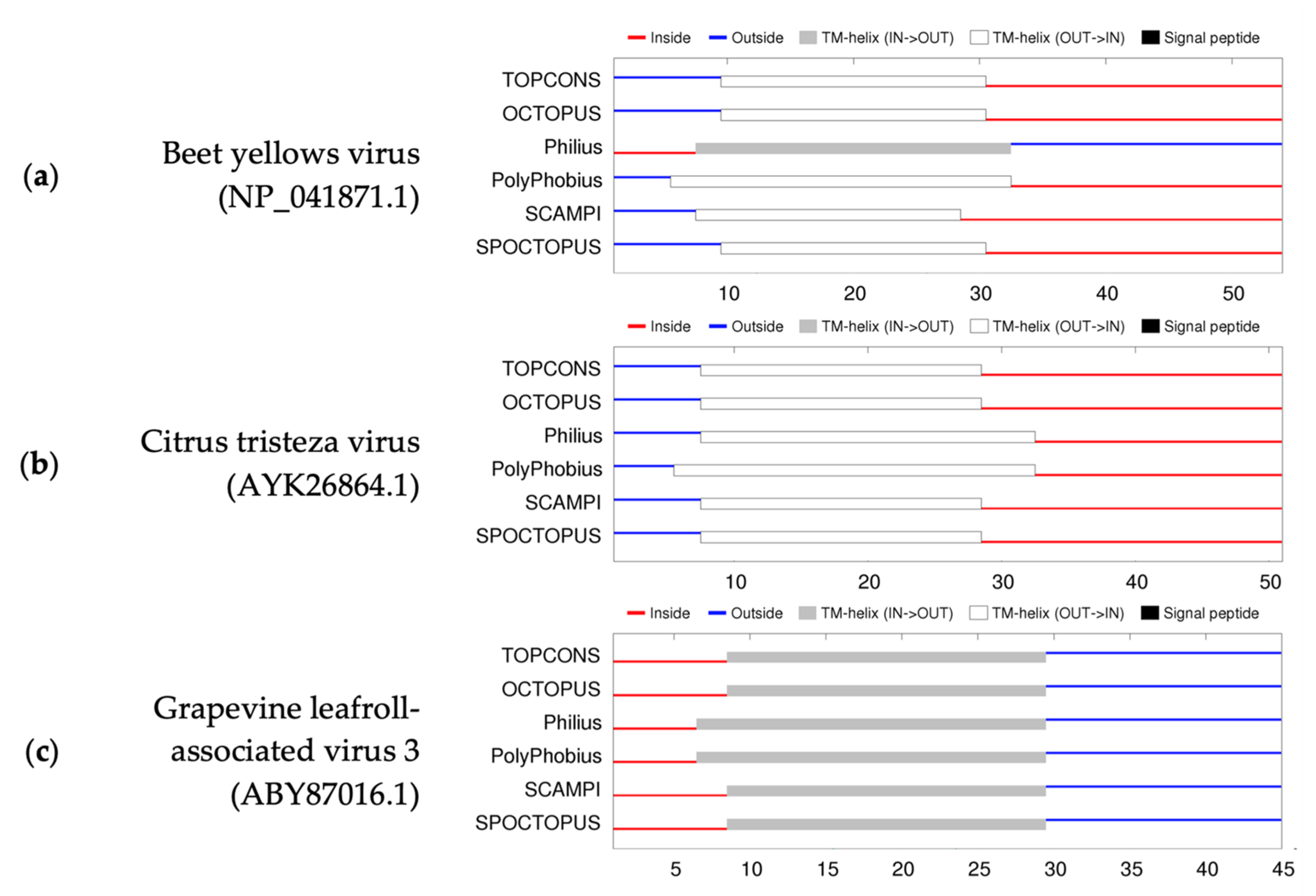 Viruses 15 00208 g003 Viruses 15 00208 g003