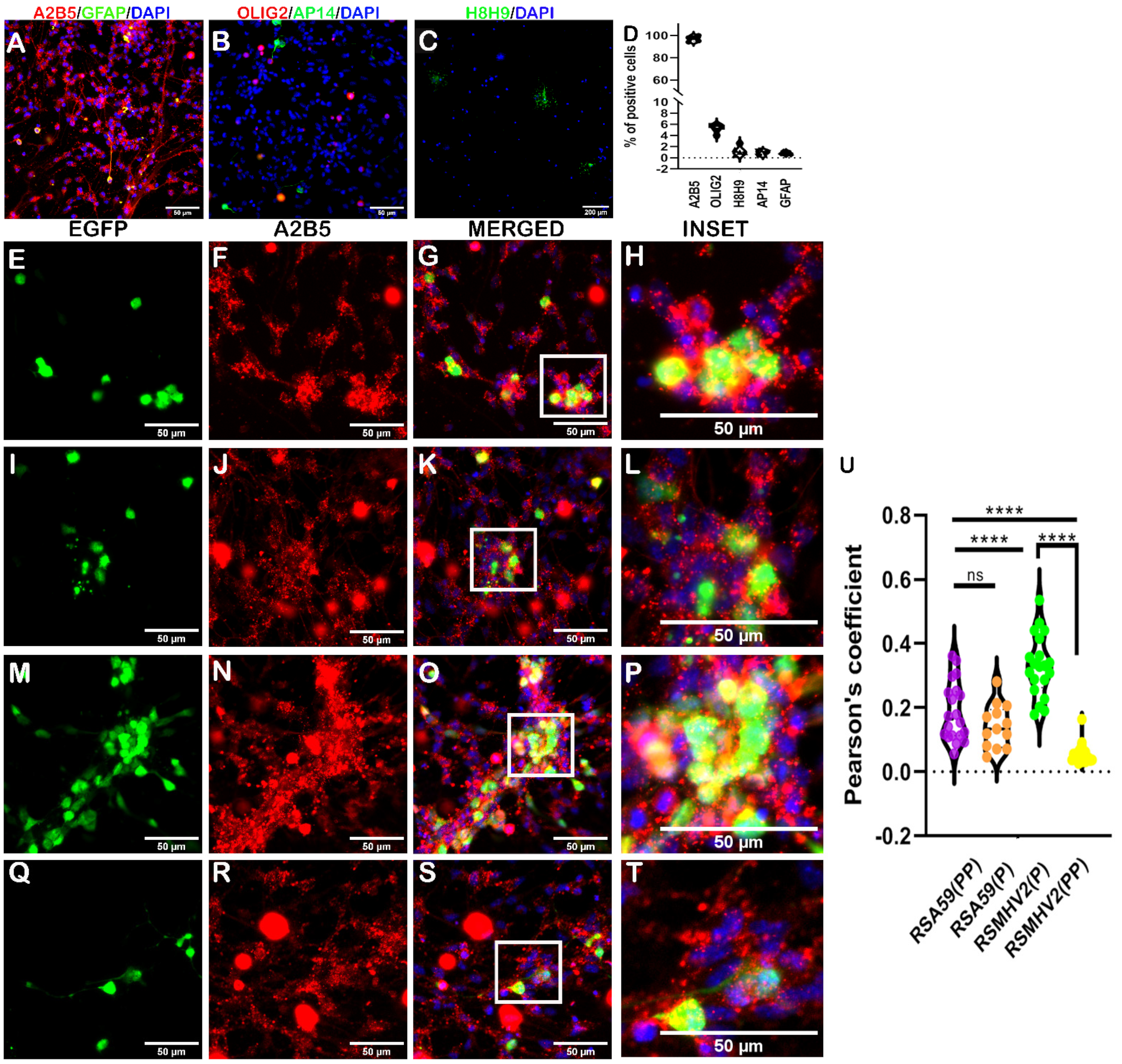 Viruses 15 00215 g007 Viruses 15 00215 g007