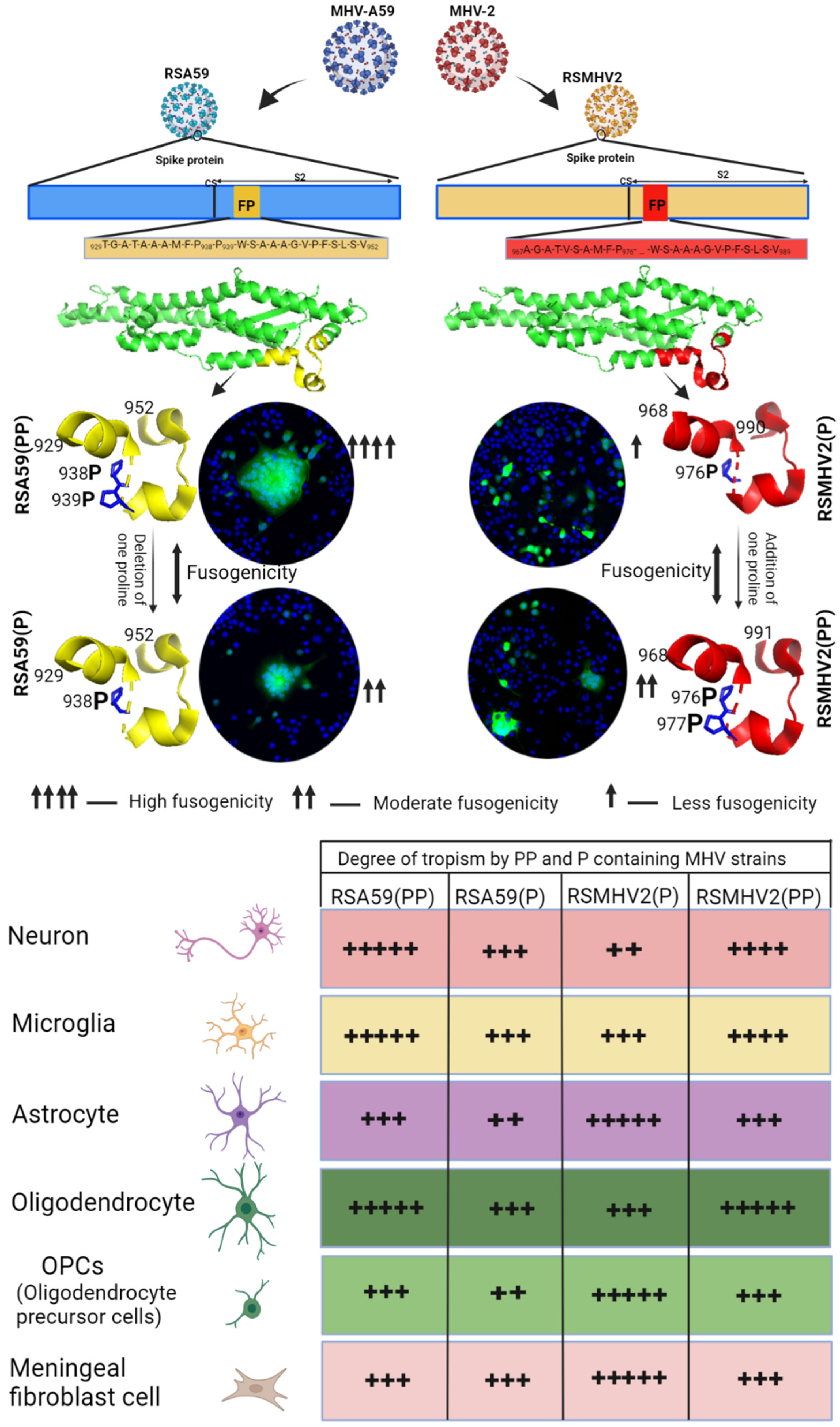 Viruses 15 00215 g012 Viruses 15 00215 g012