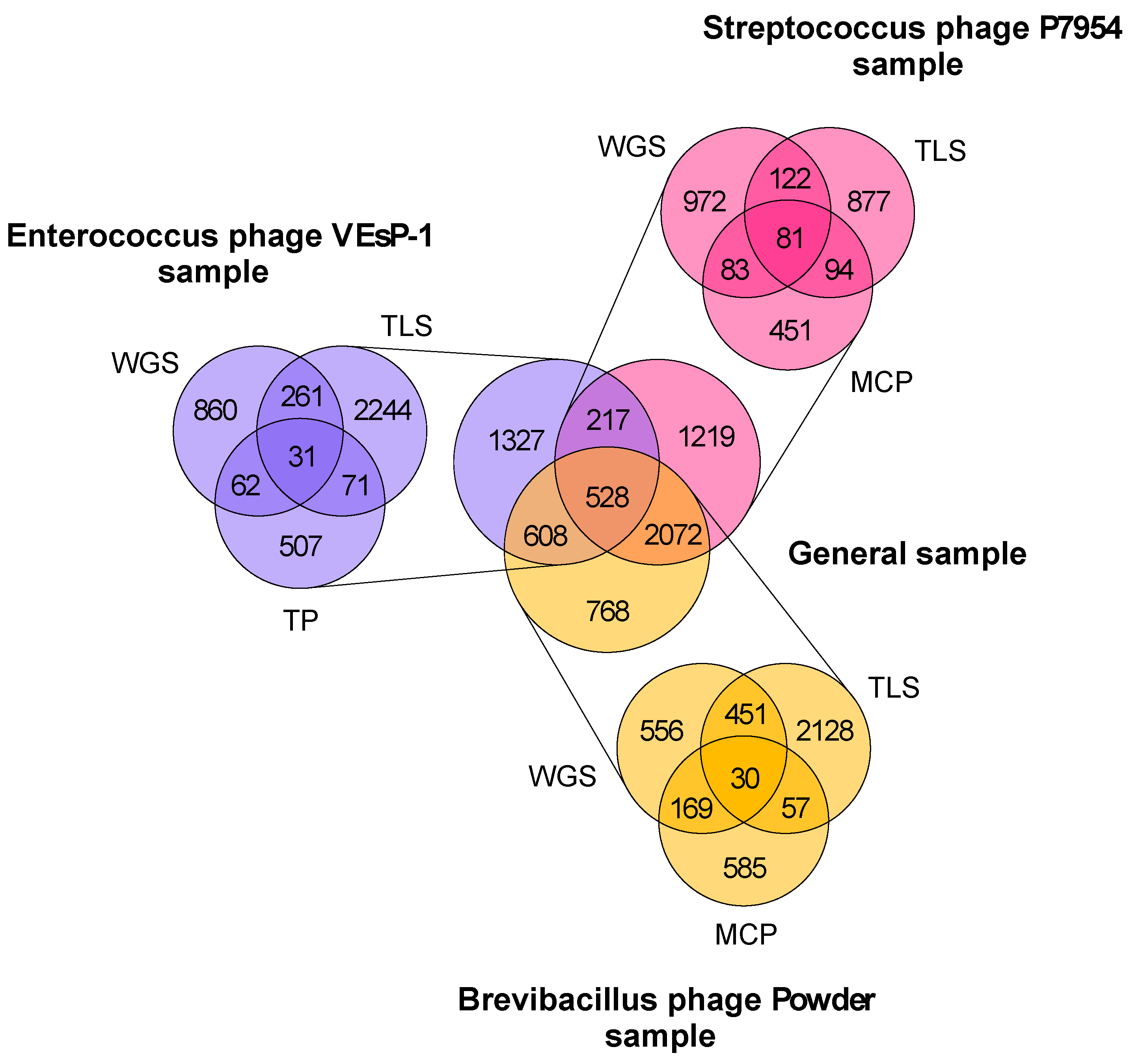 Viruses 15 00216 g002