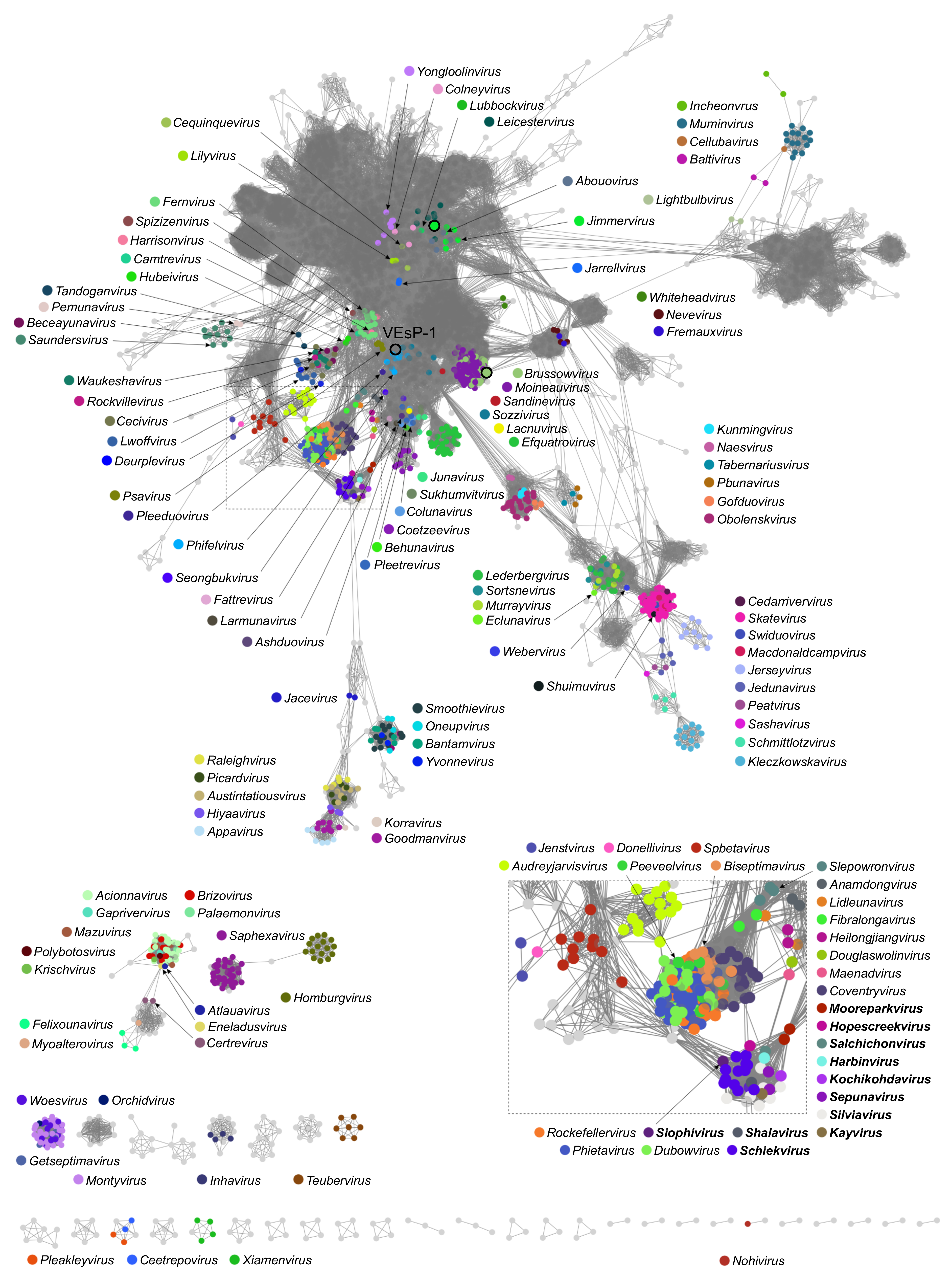 Viruses 15 00216 g003