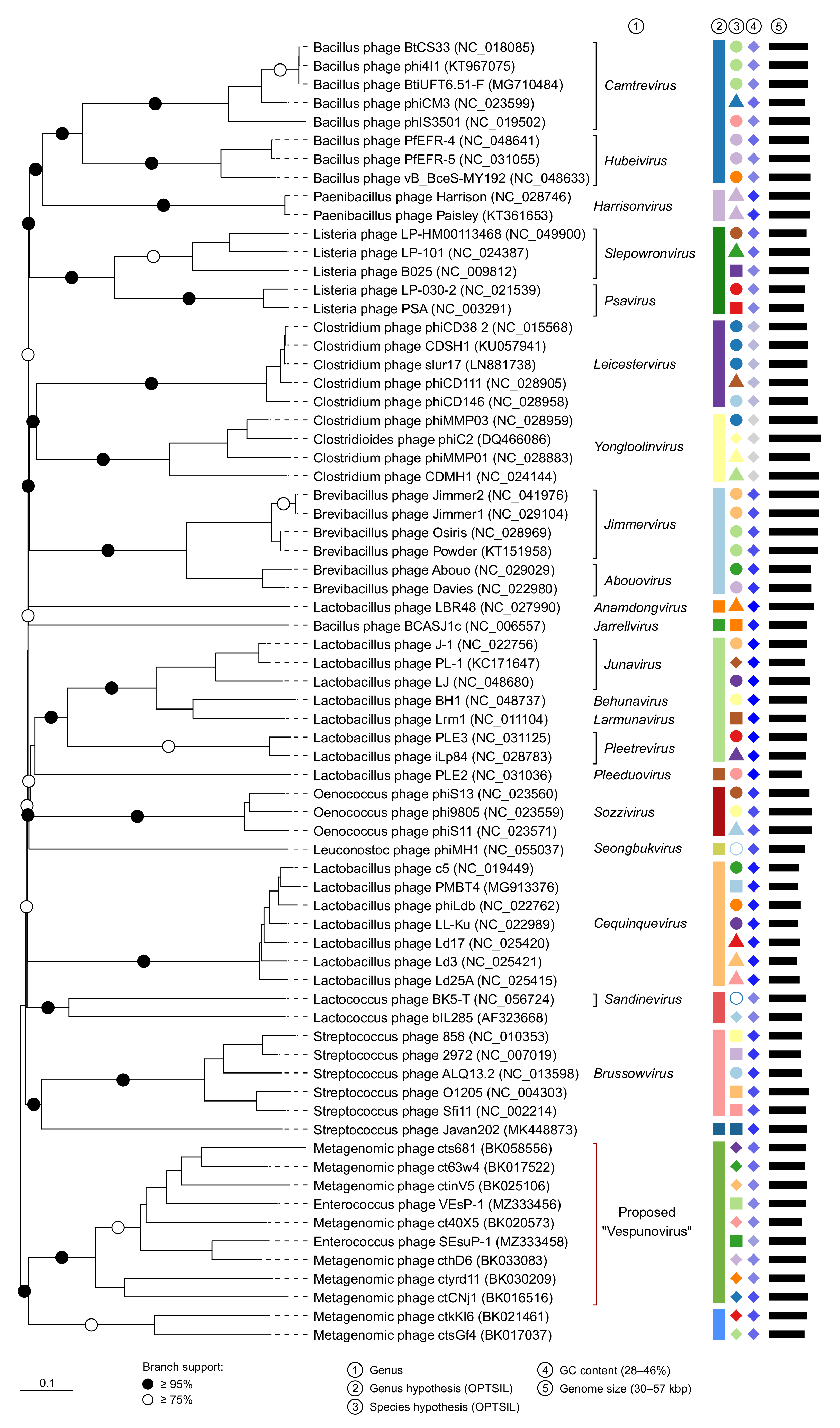Viruses 15 00216 g004