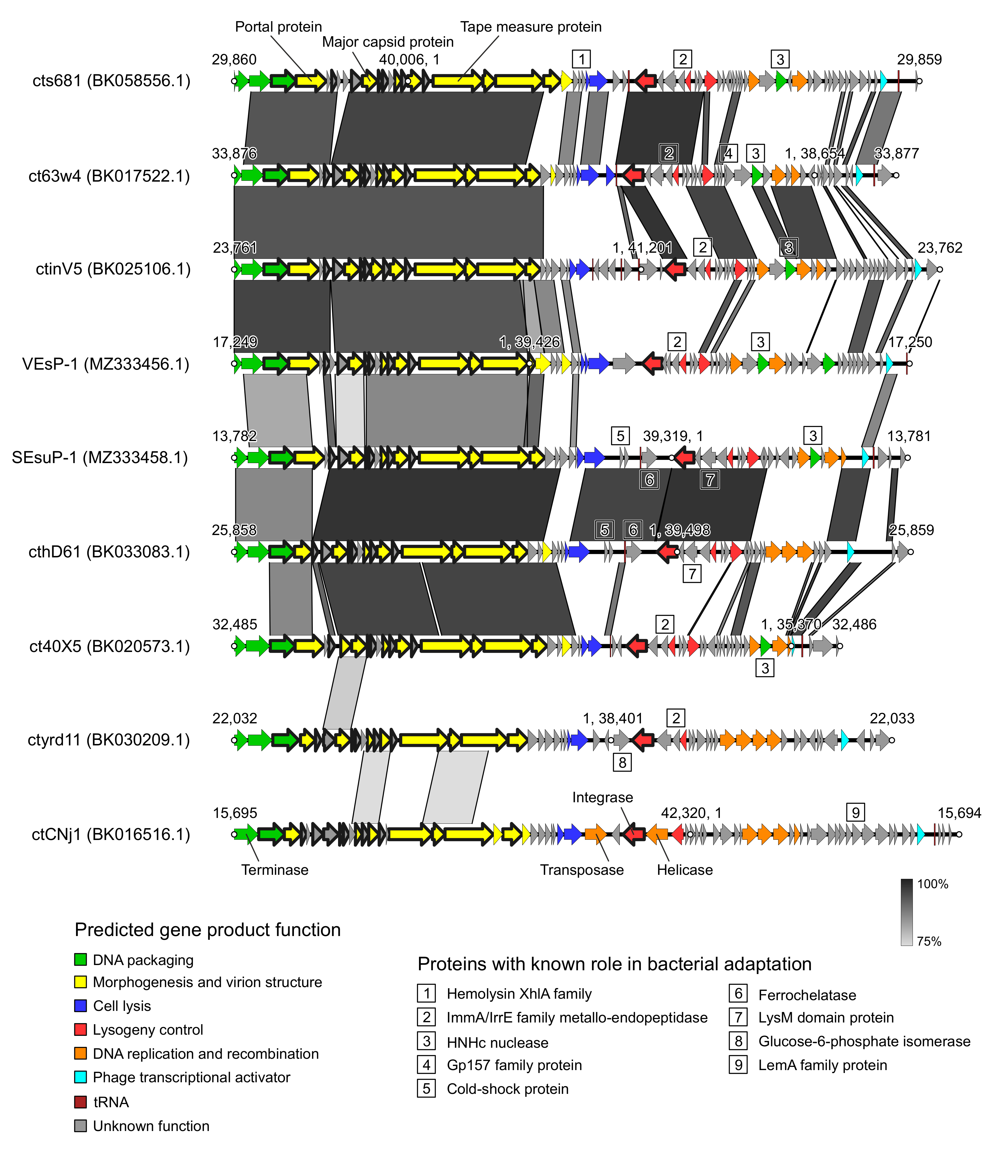 Viruses 15 00216 g005