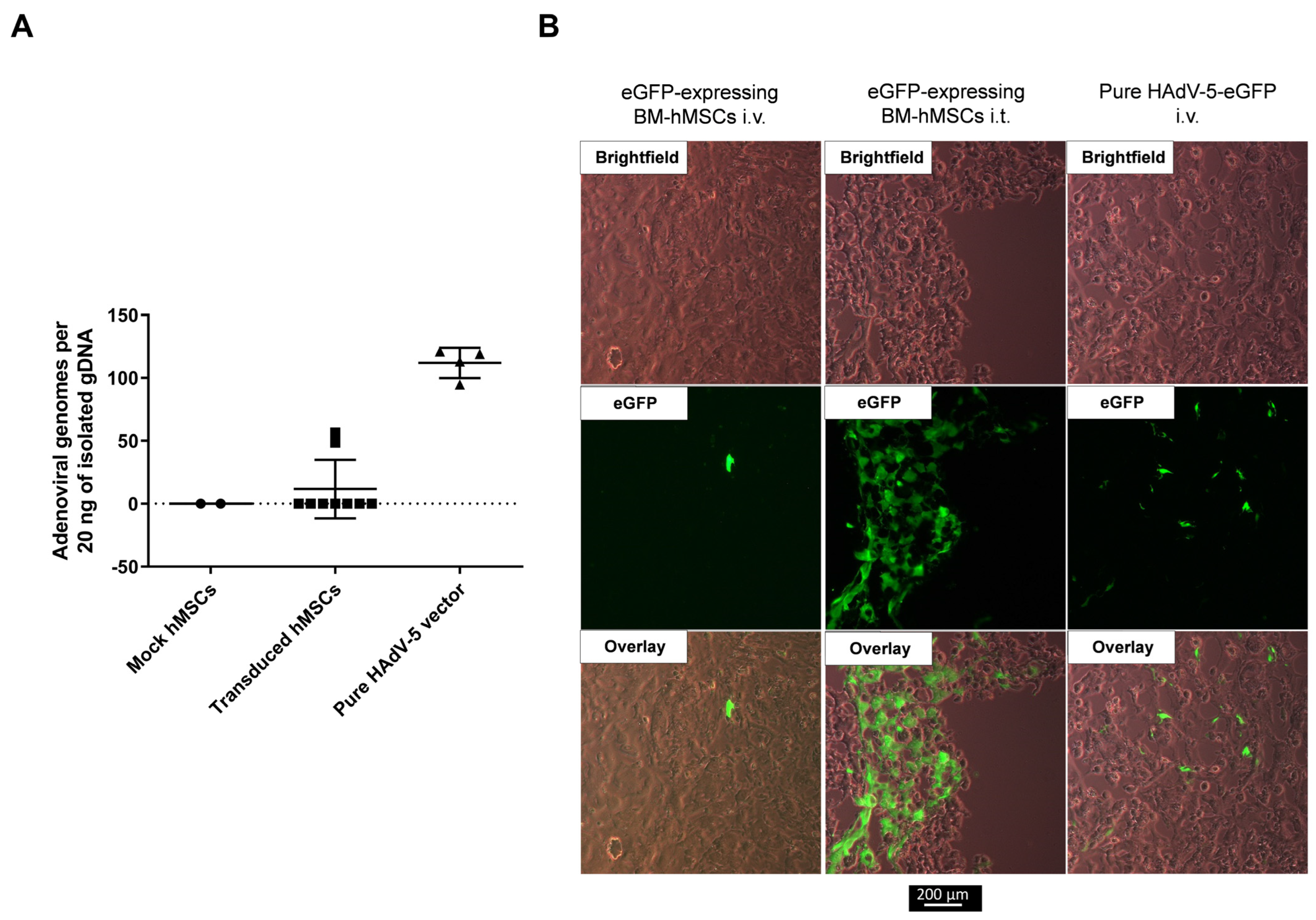 Viruses 15 00218 g008 Viruses 15 00218 g008