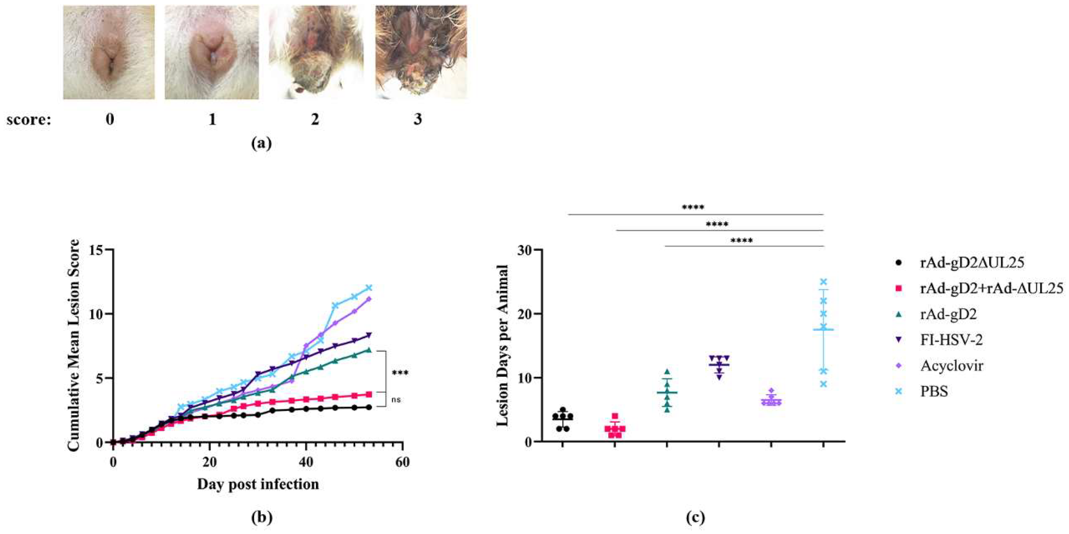 Viruses 15 00219 g003 Viruses 15 00219 g003