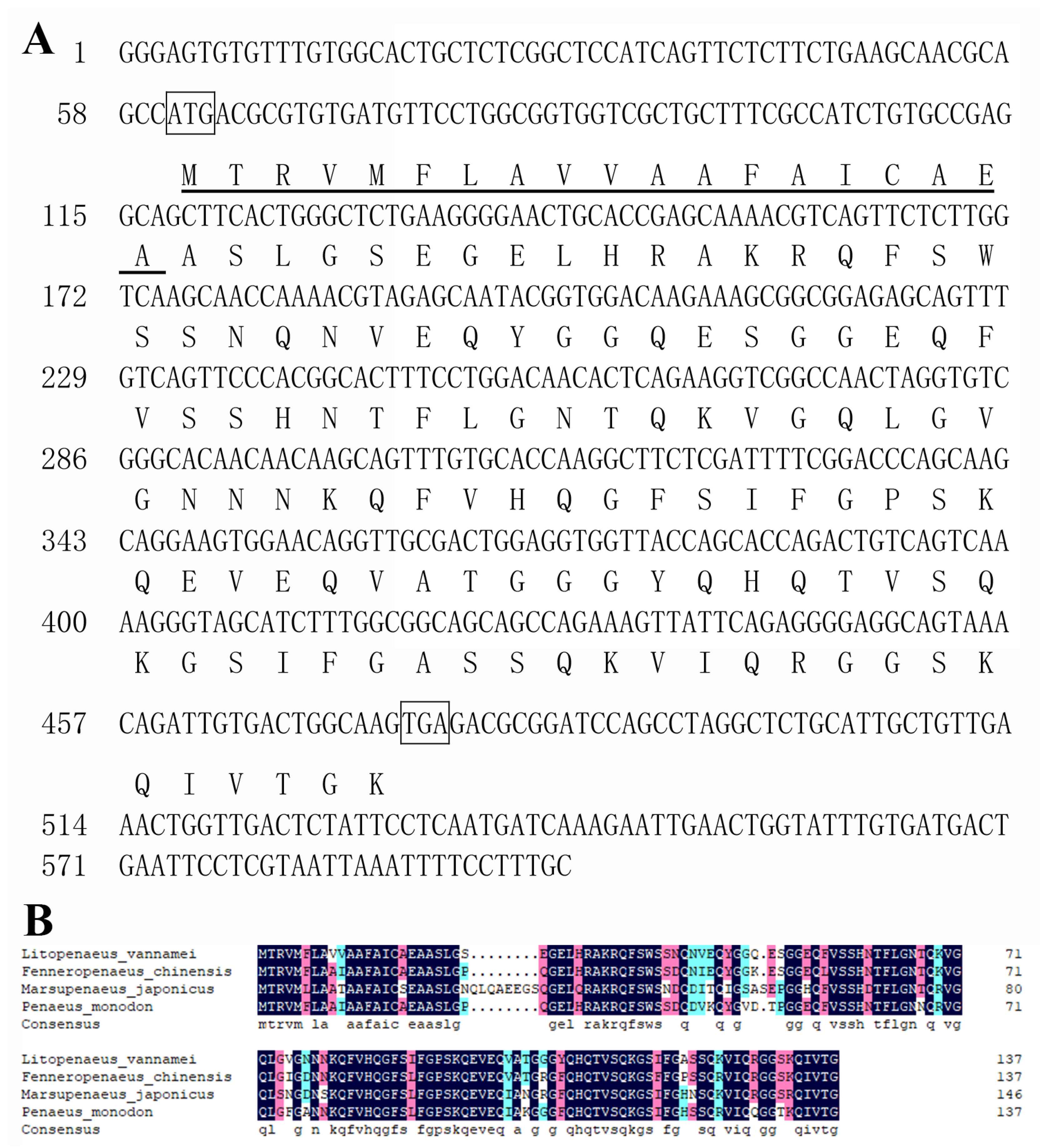 Viruses 15 00227 g001