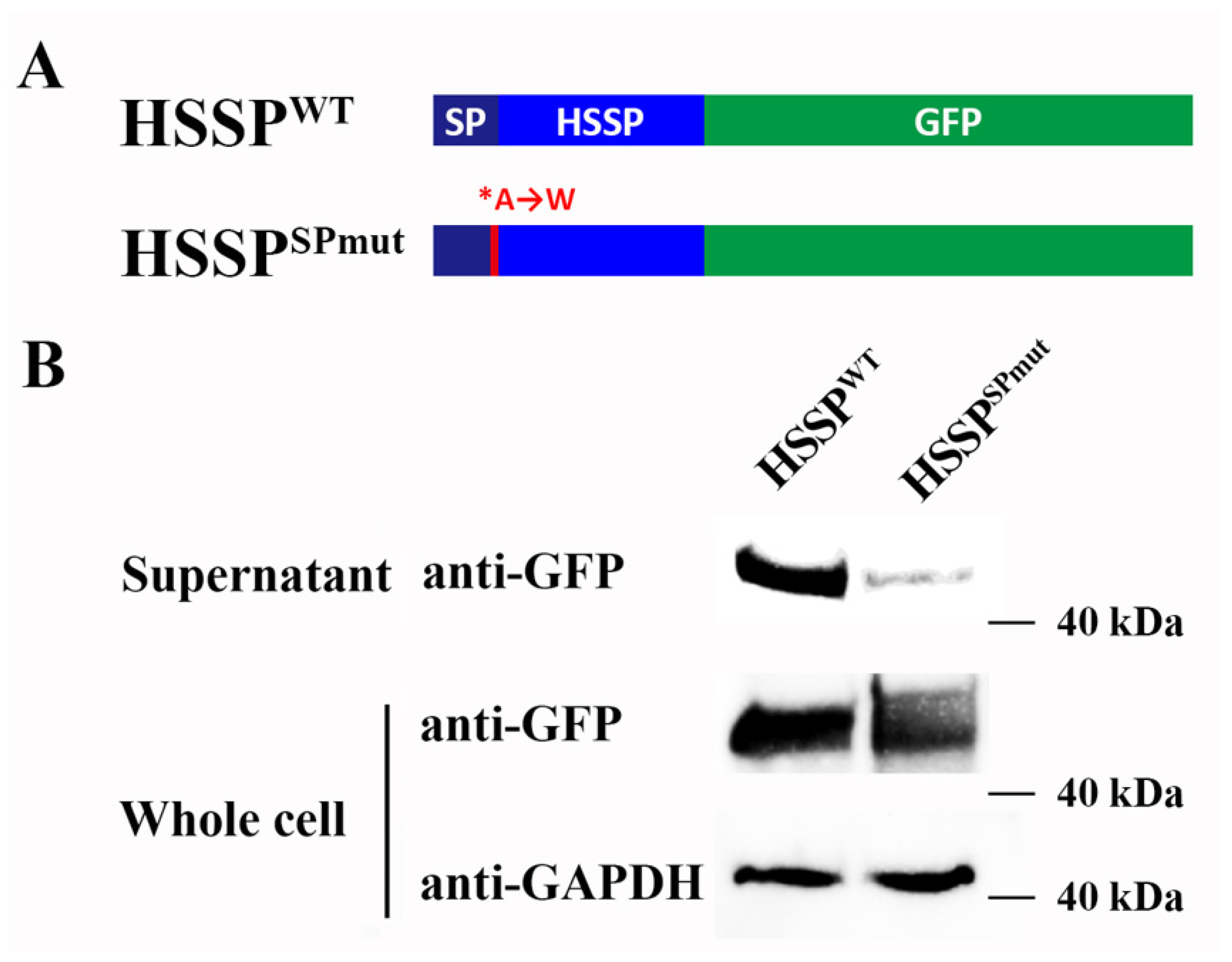 Viruses 15 00227 g003