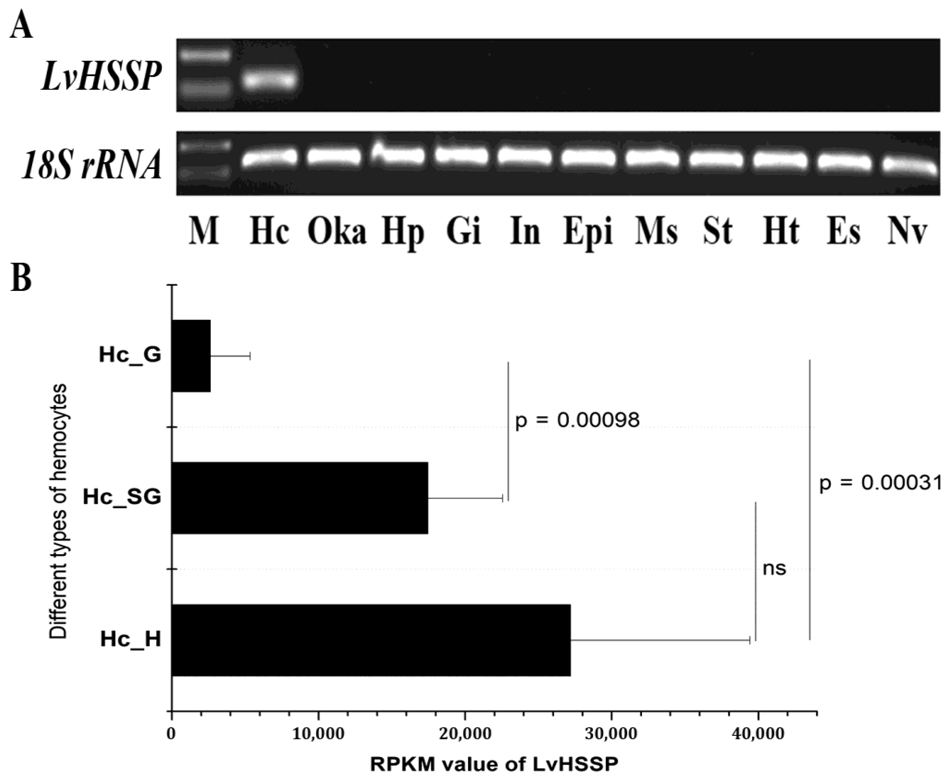 Viruses 15 00227 g004