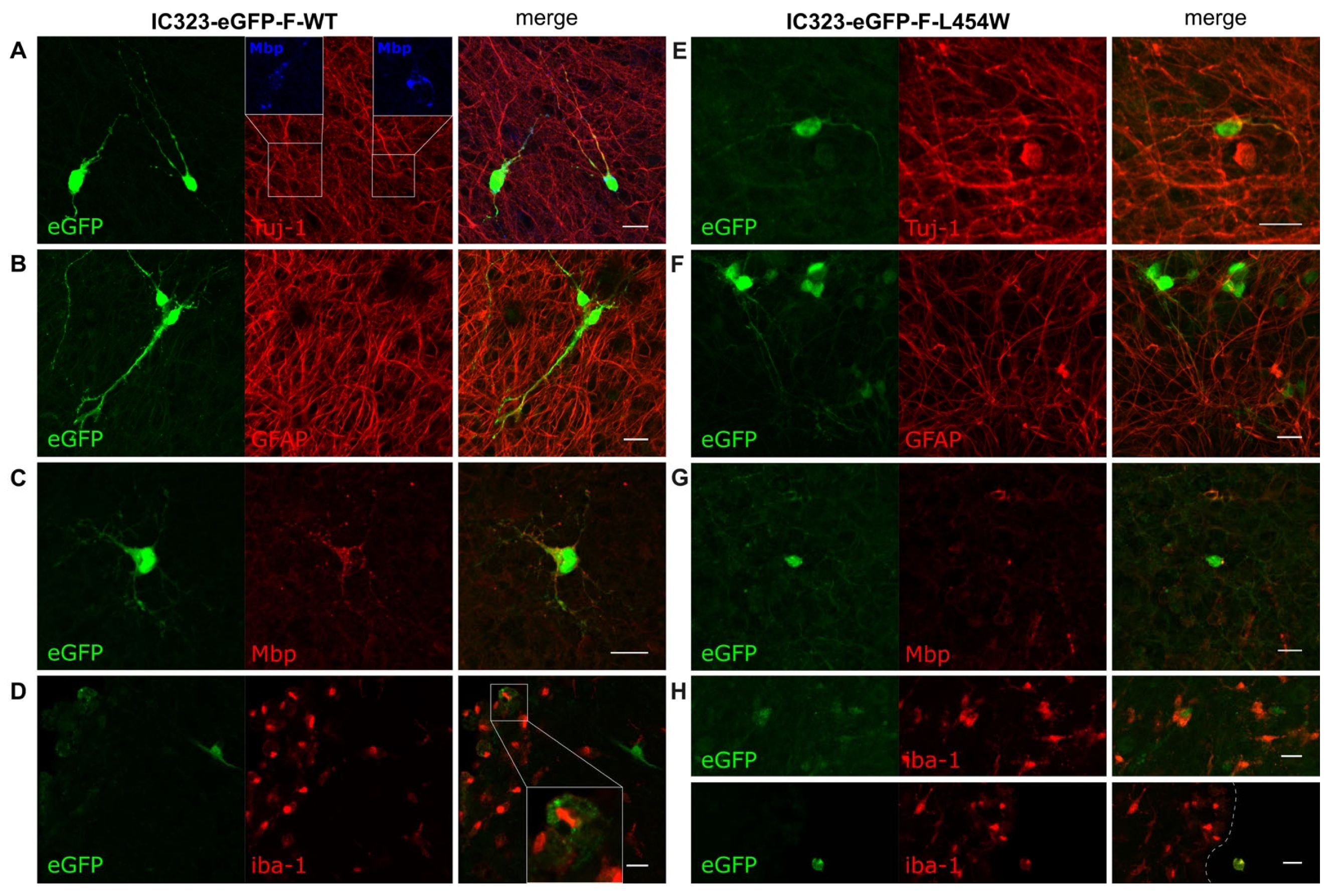Viruses 15 00229 g006 Viruses 15 00229 g006