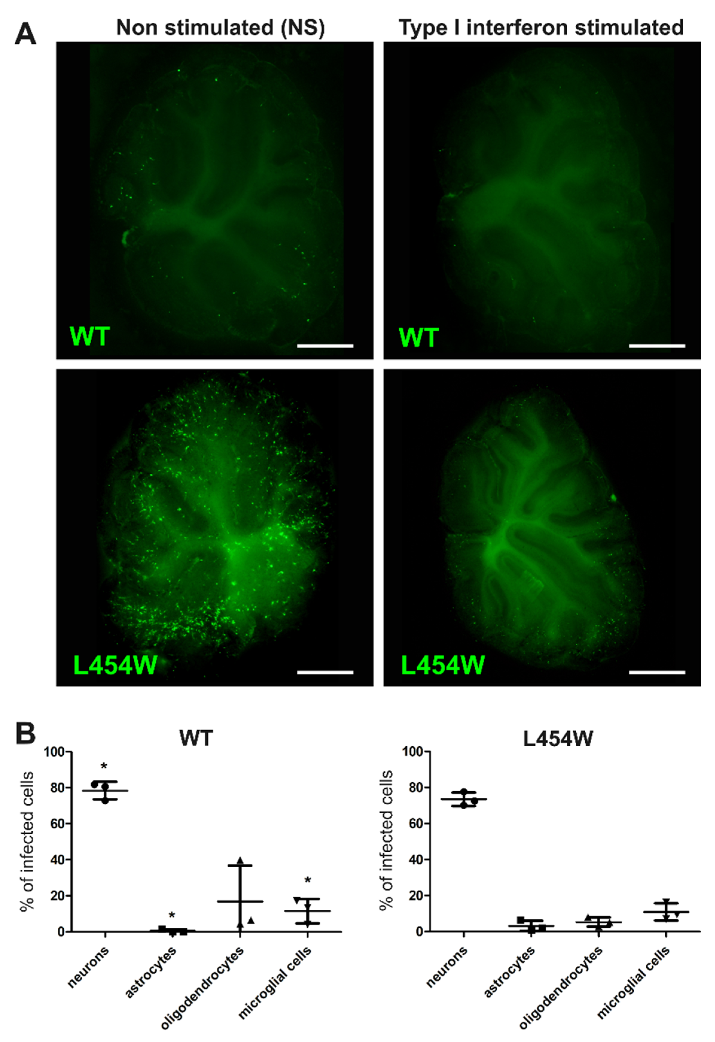 Viruses 15 00229 g007 Viruses 15 00229 g007