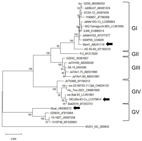 Growth, Pathogenesis, and Serological Characteristics of the