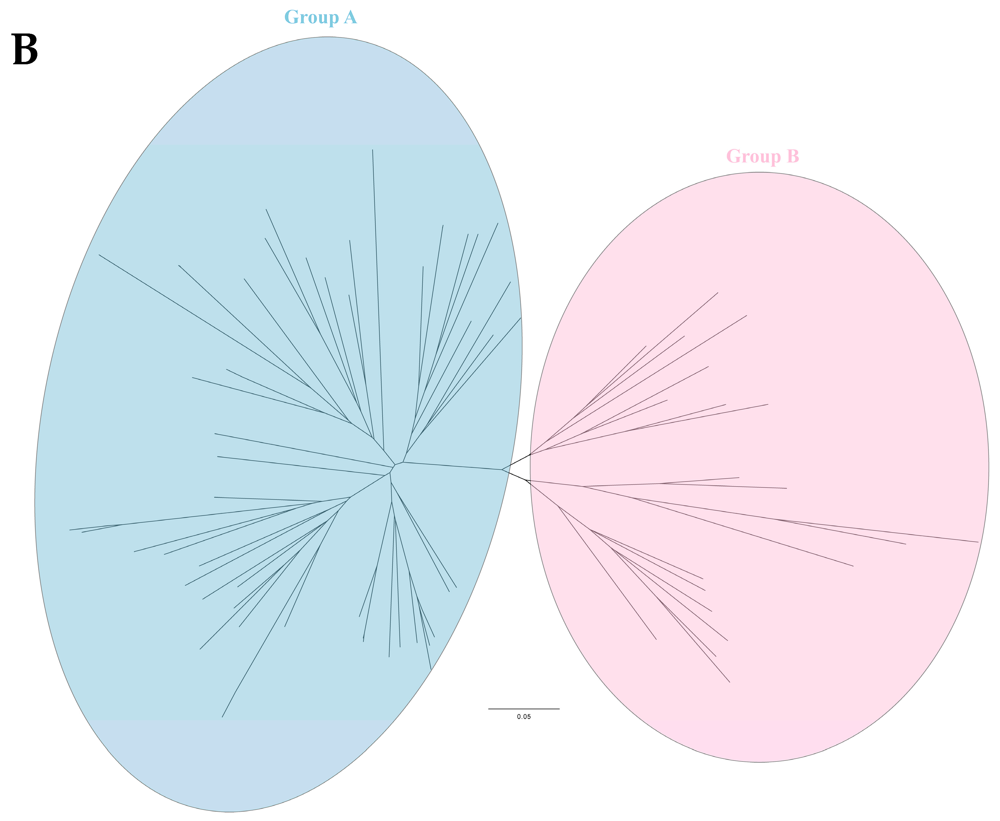 Viruses 15 00240 g002b Viruses 15 00240 g002b